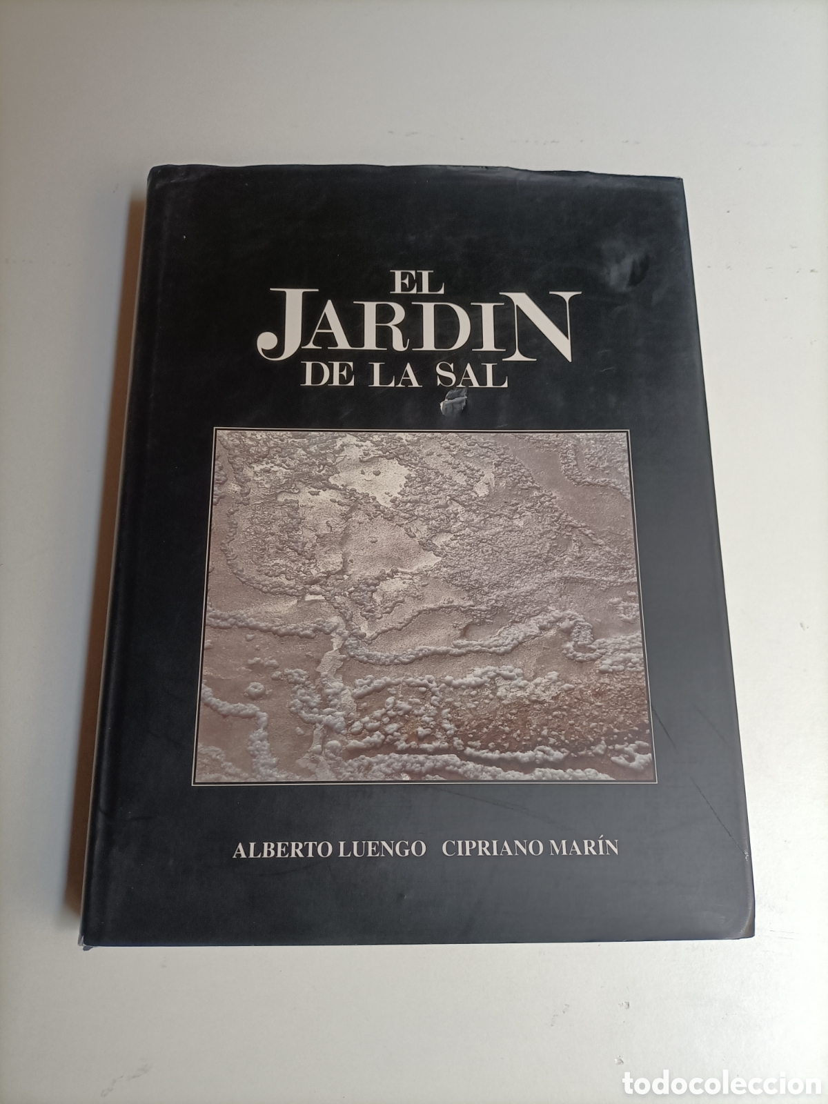 Libros de segunda mano: El jard&iacute;n de la sal.. Alberto Luengo. Cipriano Mar&iacute;n Canarias
