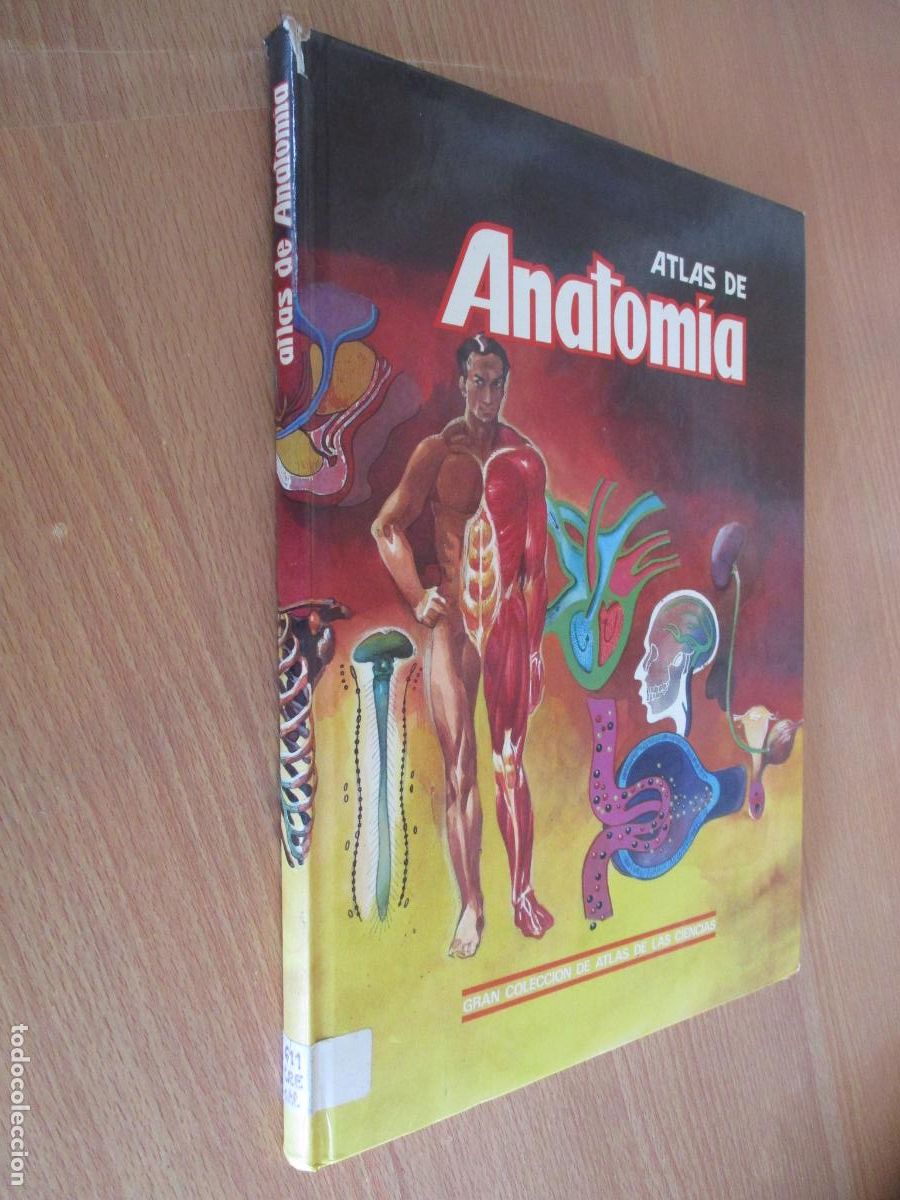Libros de segunda mano: ATLAS DE ANATOM&Iacute;A-GRAN COLECCI&Oacute;N DE ATLAS DE LAS CIENCIAS-EDICIONES MISTRAL-1989