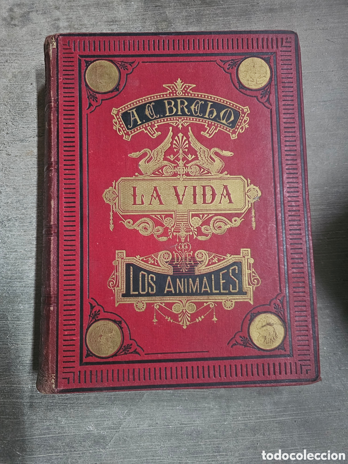 Libros de segunda mano: LA VIDA DE LOS ANIMALES - A. E. BREHM - 6 TOMOS COMPLETA - 2&ordf; EDICI&Oacute;N - - Foto 2