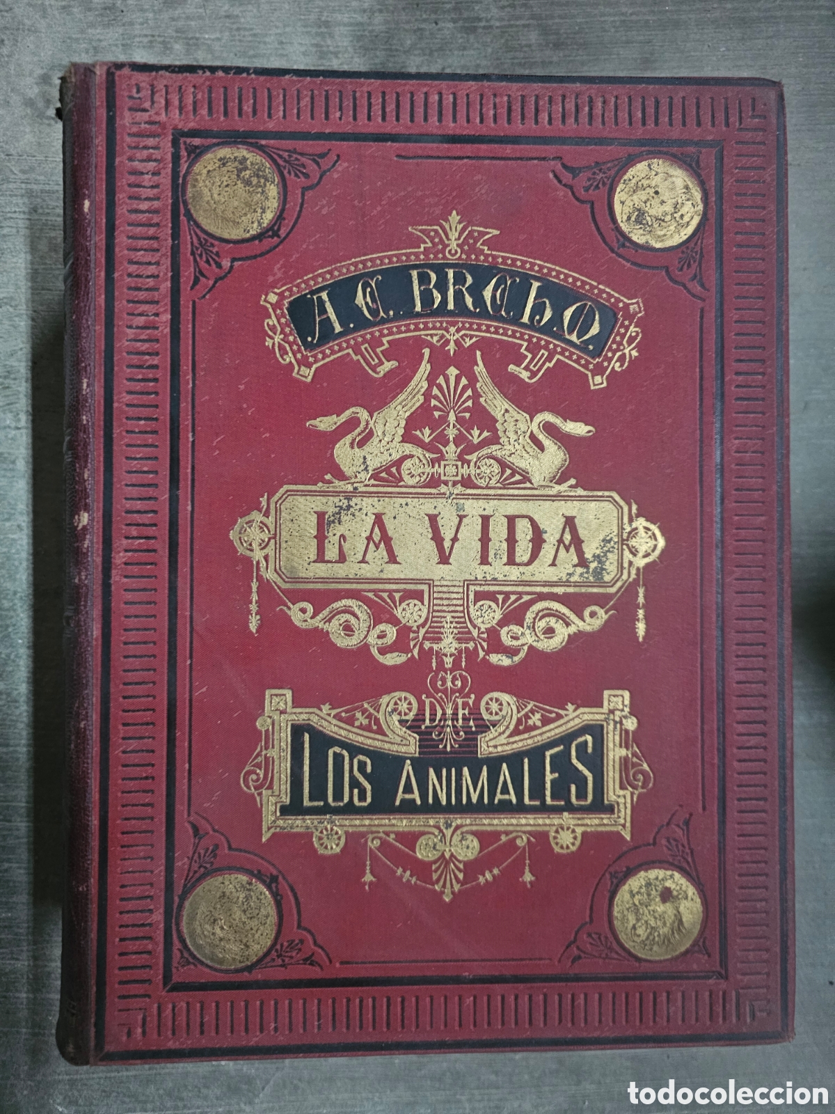 Libros de segunda mano: LA VIDA DE LOS ANIMALES - A. E. BREHM - 6 TOMOS COMPLETA - 2&ordf; EDICI&Oacute;N - - Foto 4