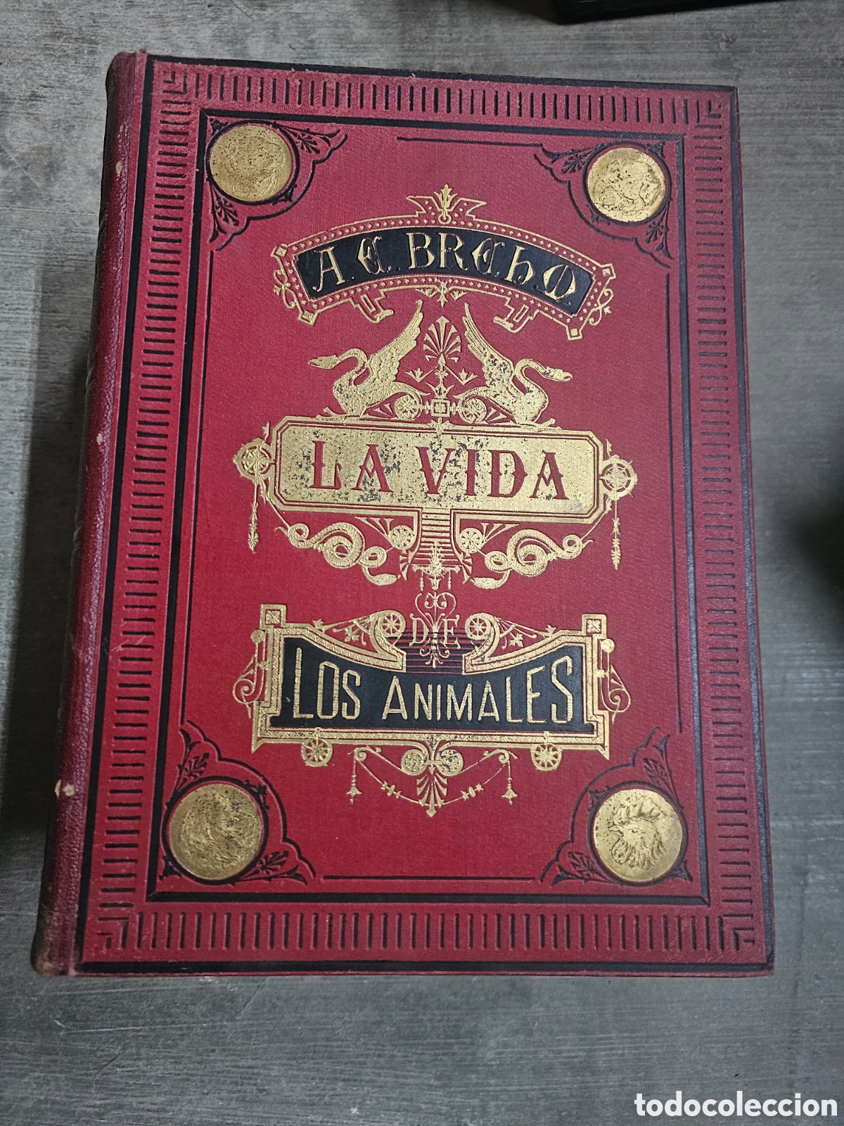 Libros de segunda mano: LA VIDA DE LOS ANIMALES - A. E. BREHM - 6 TOMOS COMPLETA - 2&ordf; EDICI&Oacute;N - - Foto 6