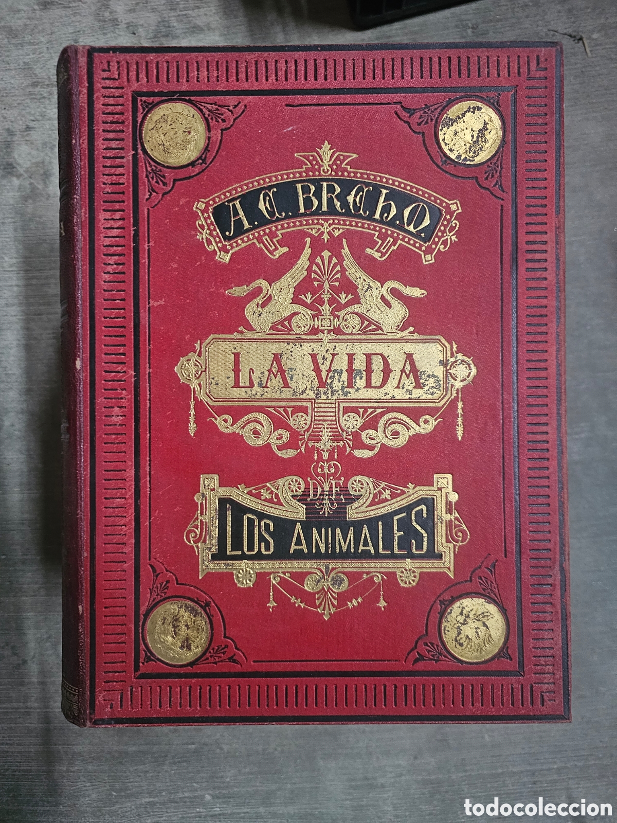 Libros de segunda mano: LA VIDA DE LOS ANIMALES - A. E. BREHM - 6 TOMOS COMPLETA - 2&ordf; EDICI&Oacute;N - - Foto 9