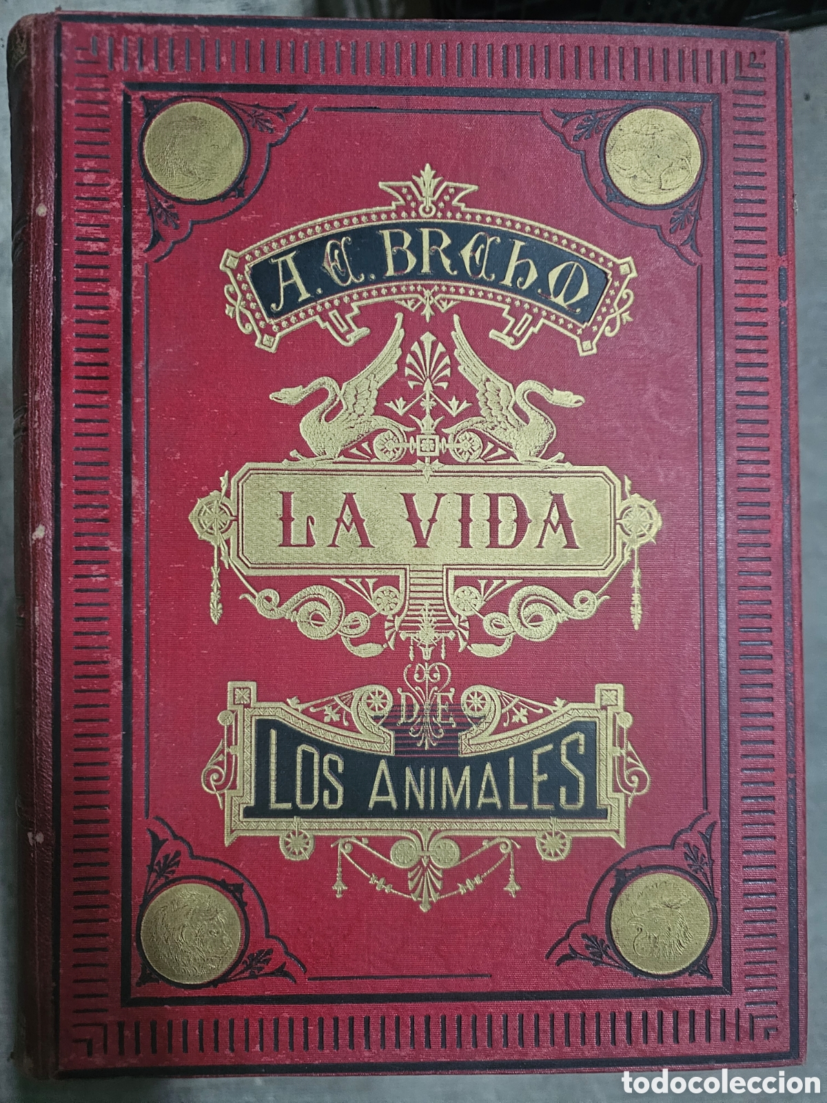 Libros de segunda mano: LA VIDA DE LOS ANIMALES - A. E. BREHM - 6 TOMOS COMPLETA - 2&ordf; EDICI&Oacute;N - - Foto 11