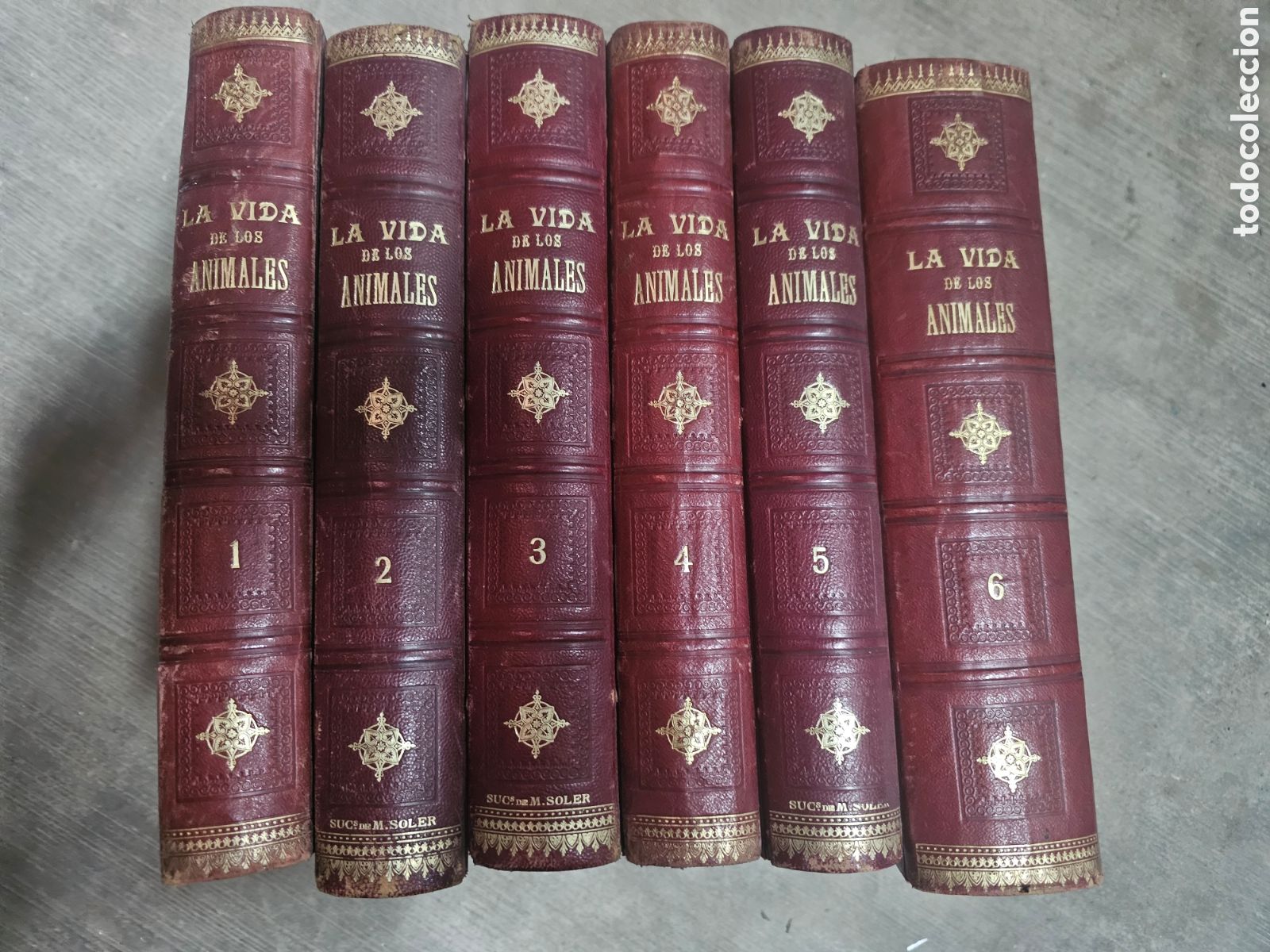 Libros de segunda mano: LA VIDA DE LOS ANIMALES - A. E. BREHM - 6 TOMOS COMPLETA - 2&ordf; EDICI&Oacute;N -