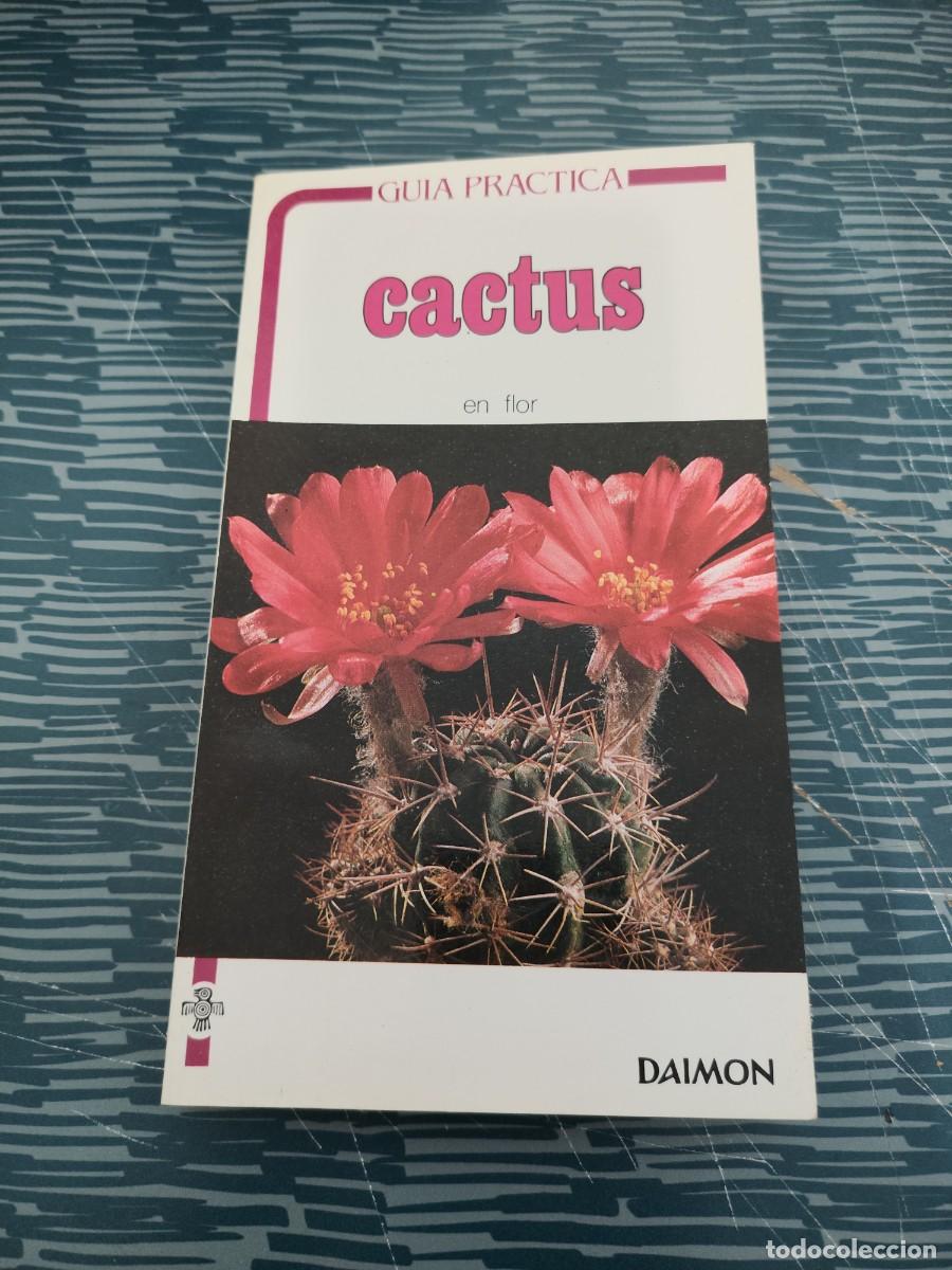 Libros de segunda mano: CACTUS EN FLOR,GUY RAYZER,DAIMON EDITORIAL,1984,183 P&Aacute;GINAS