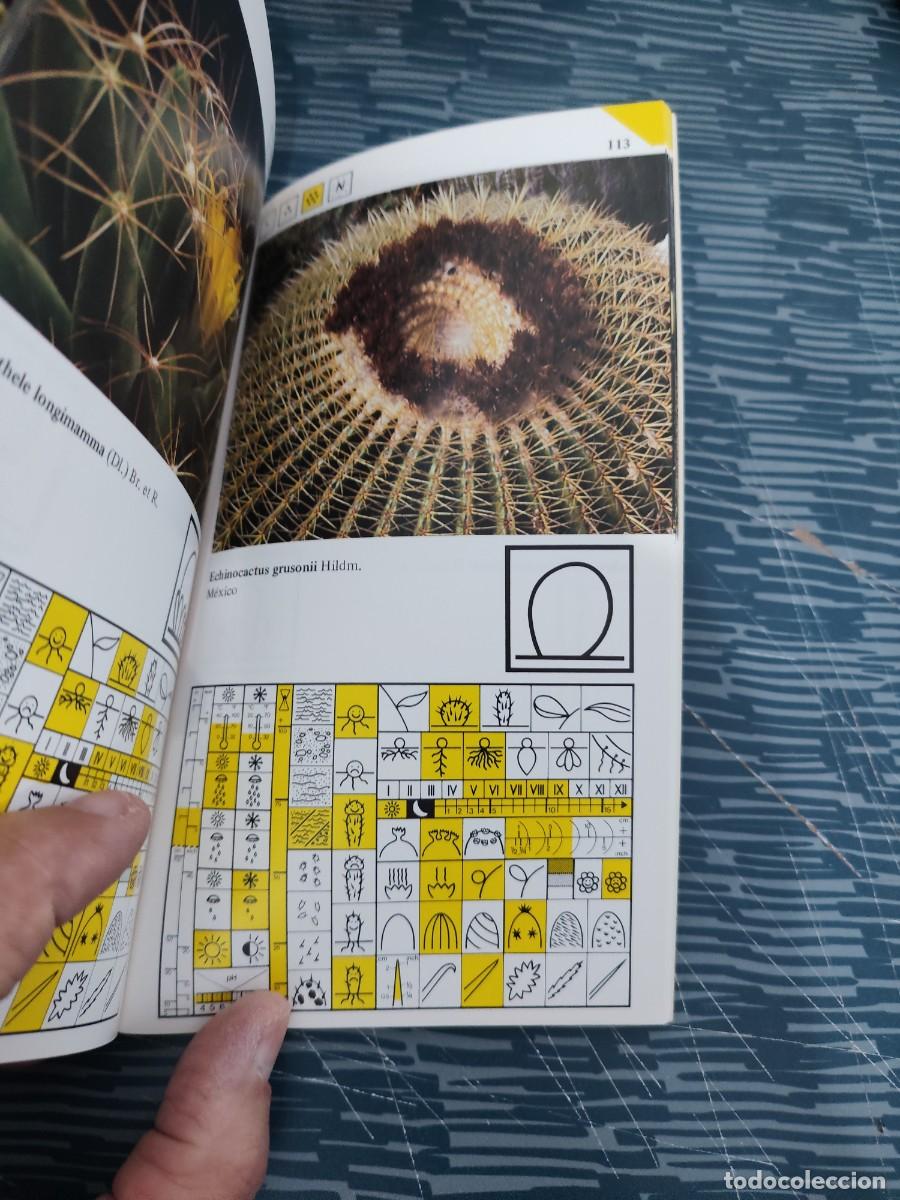 Libros de segunda mano: CACTUS EN FLOR,GUY RAYZER,DAIMON EDITORIAL,1984,183 P&Aacute;GINAS - Foto 4