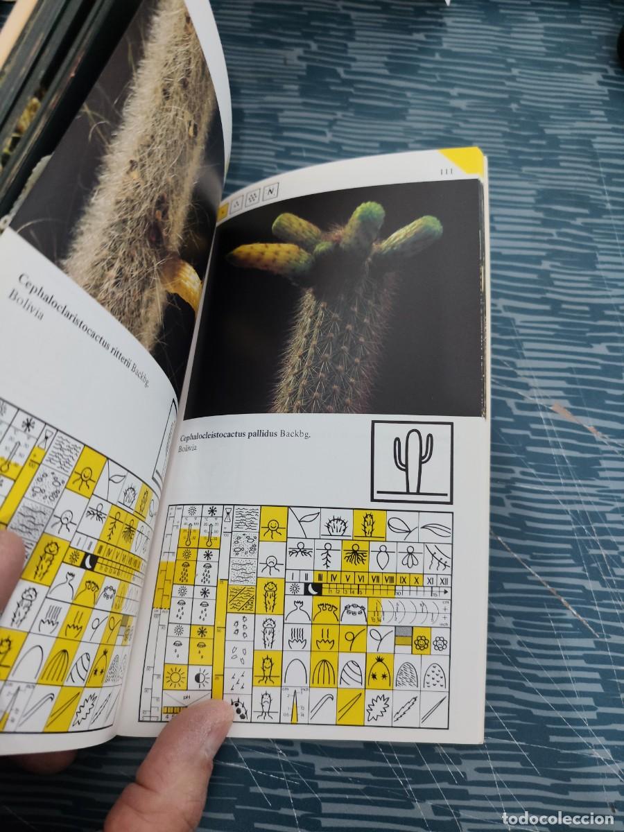 Libros de segunda mano: CACTUS EN FLOR,GUY RAYZER,DAIMON EDITORIAL,1984,183 P&Aacute;GINAS - Foto 5