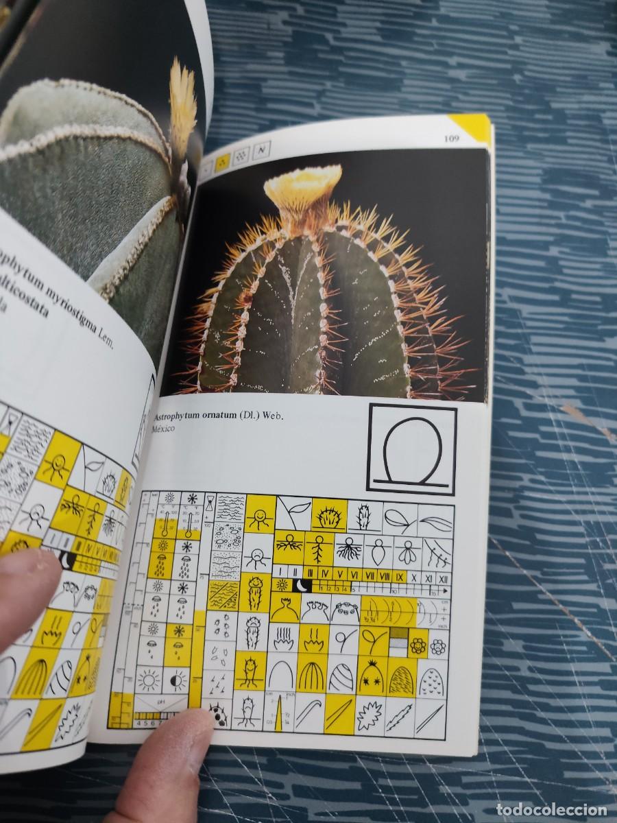 Libros de segunda mano: CACTUS EN FLOR,GUY RAYZER,DAIMON EDITORIAL,1984,183 P&Aacute;GINAS - Foto 6
