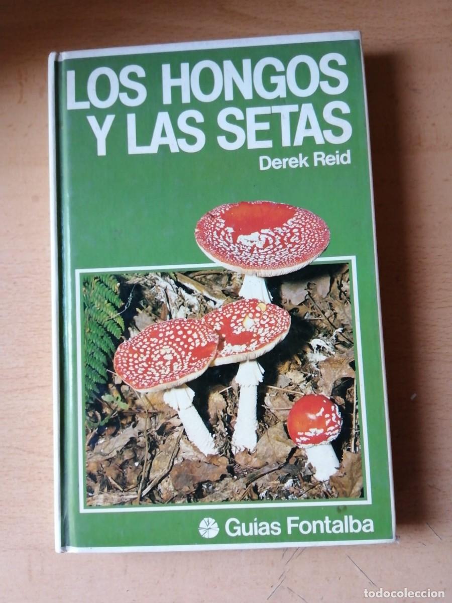 Libros de segunda mano: LOS HONGOS Y LAS SETAS (DEREK REID)