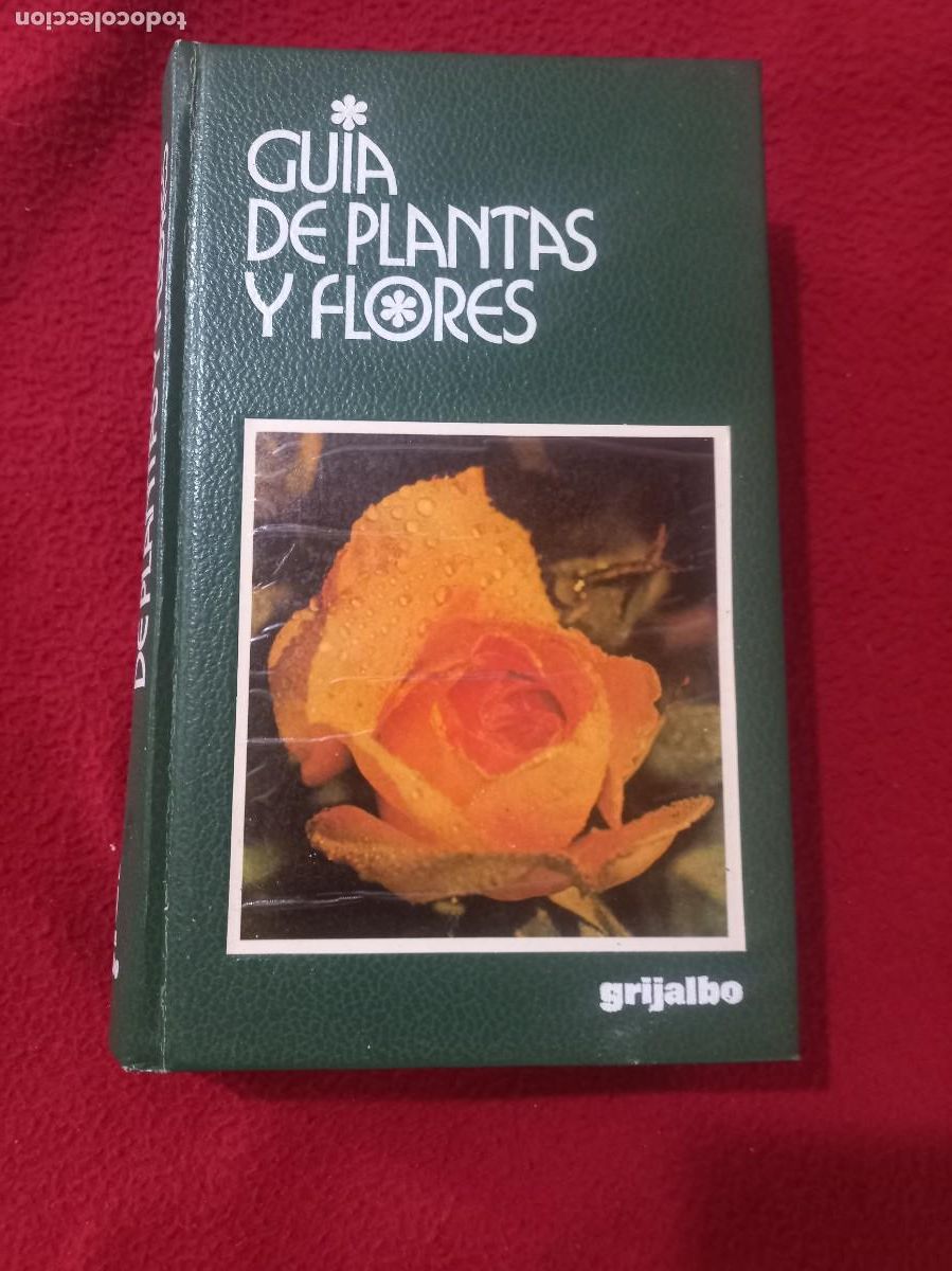 Libros de segunda mano: GUIA DE PLANTAS Y FLORES - F. BIANCHINI & A. CARRARA - ED. GRIJALBO - TOMO CARTONE