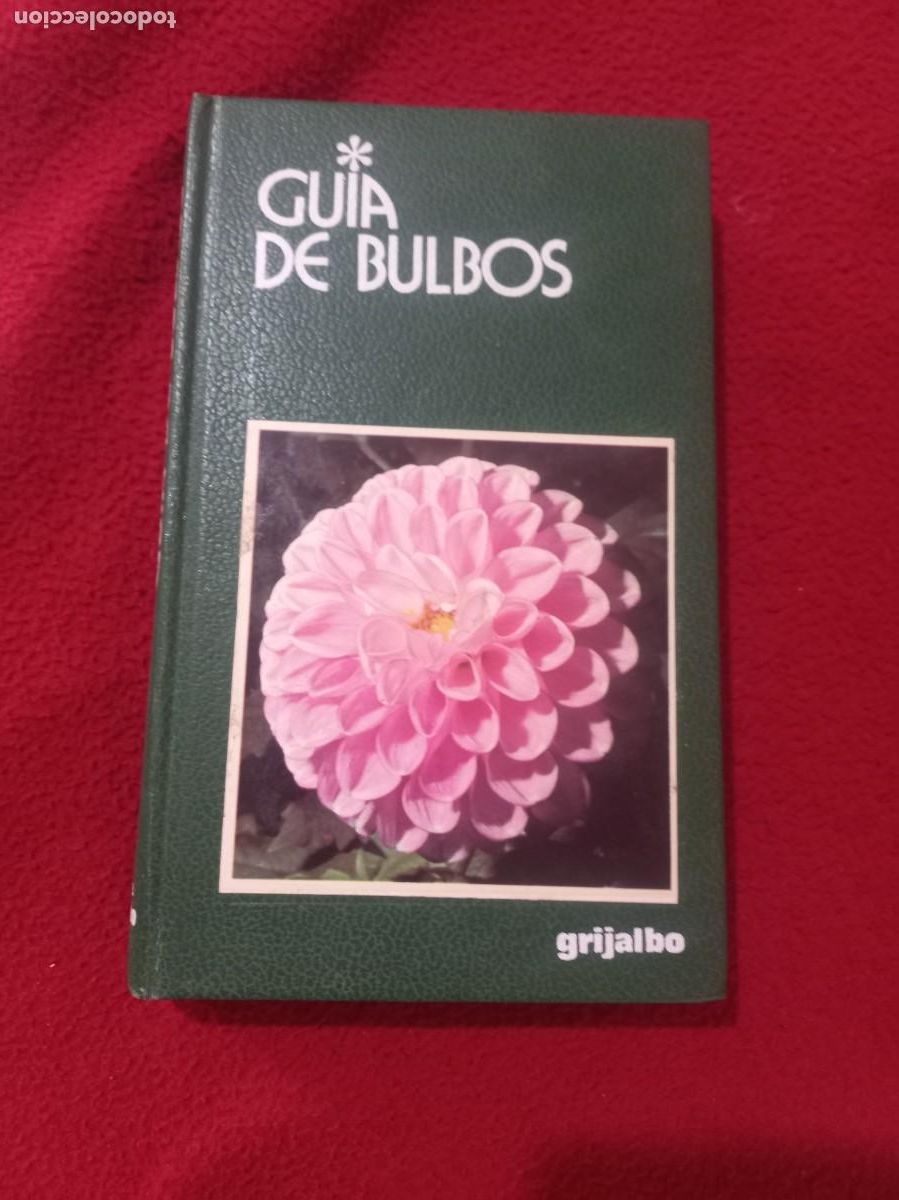 Libros de segunda mano: GUIA DE BULBOS - R. ROSSI - ED. GRIJALBO - TOMO CARTONE 256 PAG.