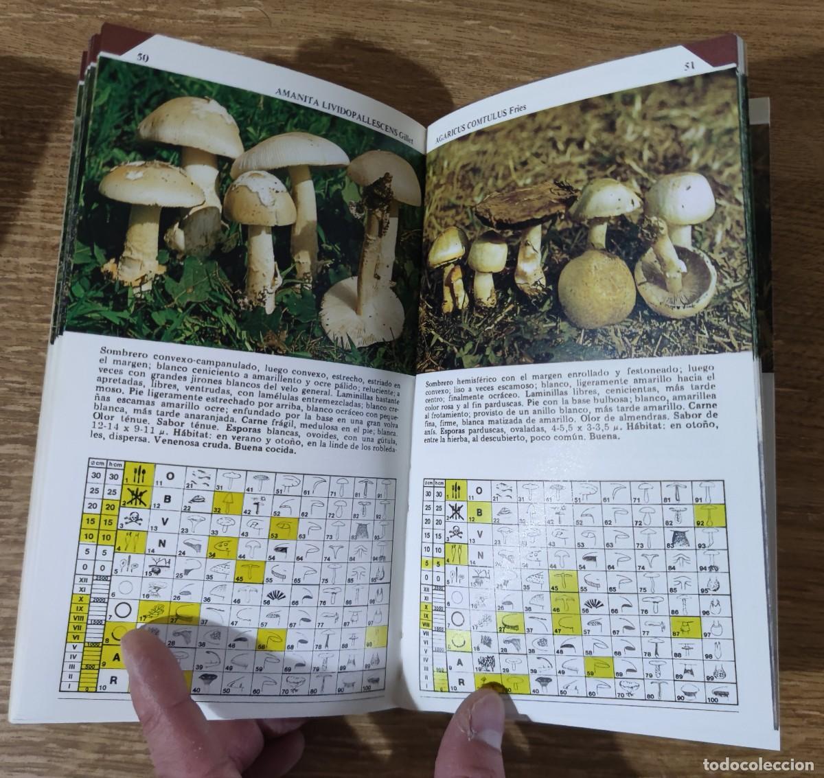 Libros de segunda mano: Gu&iacute;a pr&aacute;ctica: Setas comestibles con sabrosas recetas (1984) - Foto 3