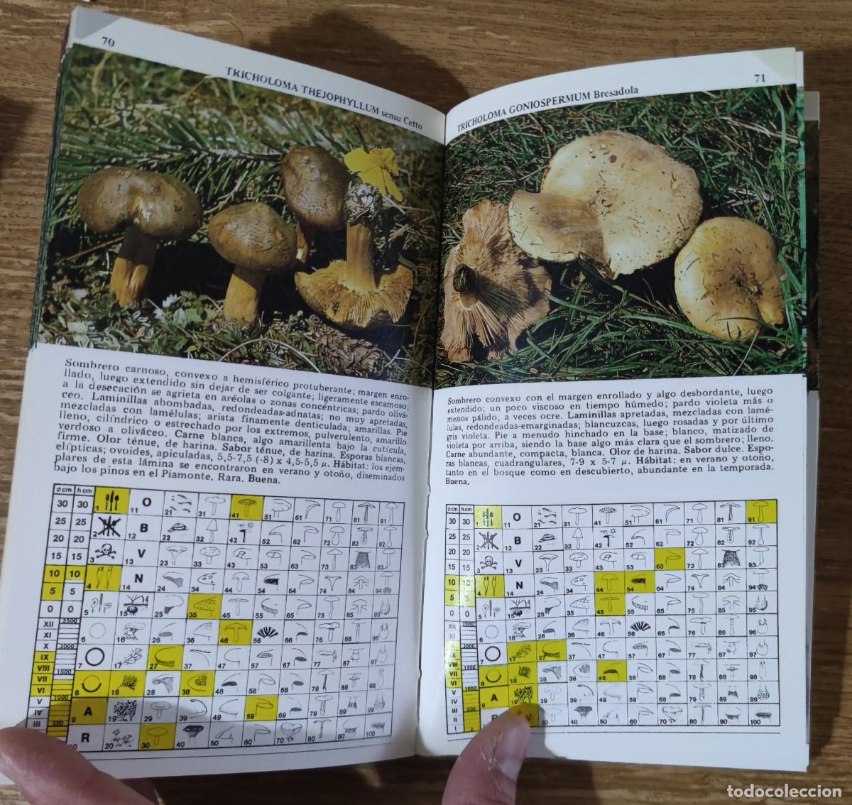 Libros de segunda mano: Gu&iacute;a pr&aacute;ctica: Setas comestibles con sabrosas recetas (1984) - Foto 4
