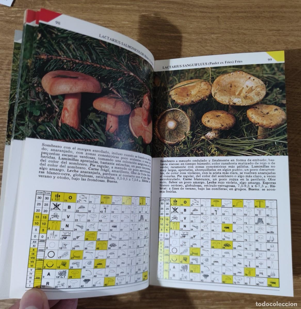 Libros de segunda mano: Gu&iacute;a pr&aacute;ctica: Setas comestibles con sabrosas recetas (1984) - Foto 5