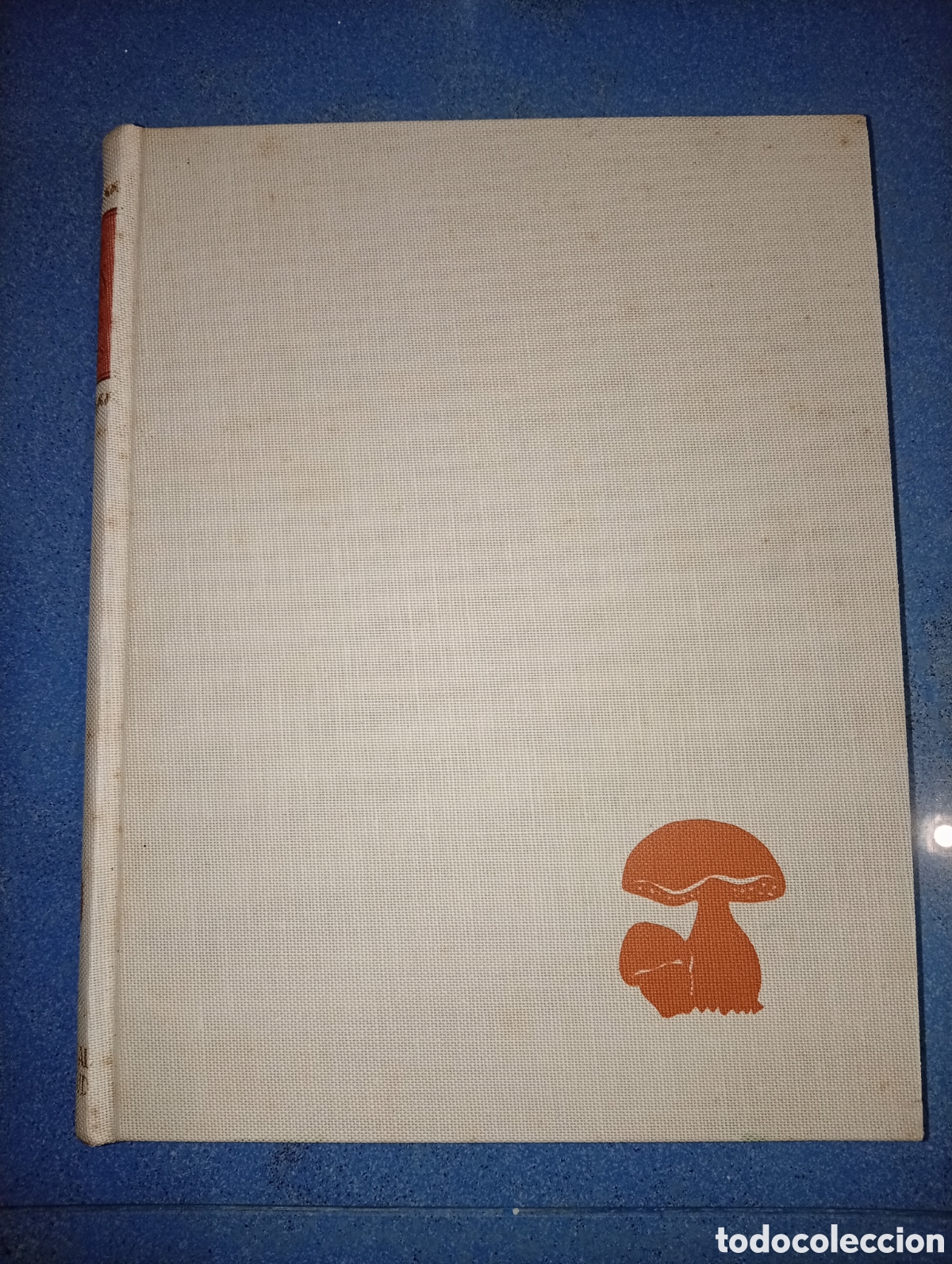 Libros de segunda mano: ANTIGUO LIBRO HONGOS FORMAS Y COLORES 1964 JUVENTUD