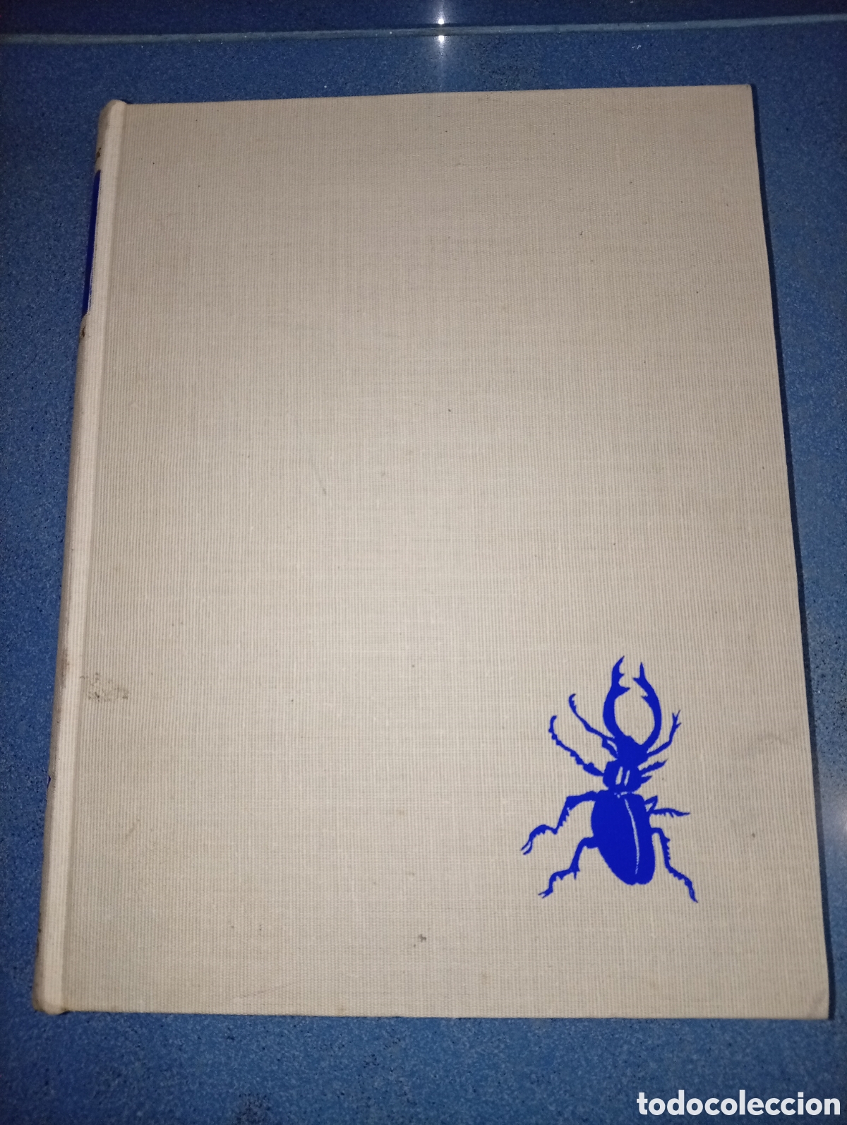 Libros de segunda mano: ANTIGUO LIBRO EL MUNDO DE LOS INSECTOS 1967 JUVENTUD