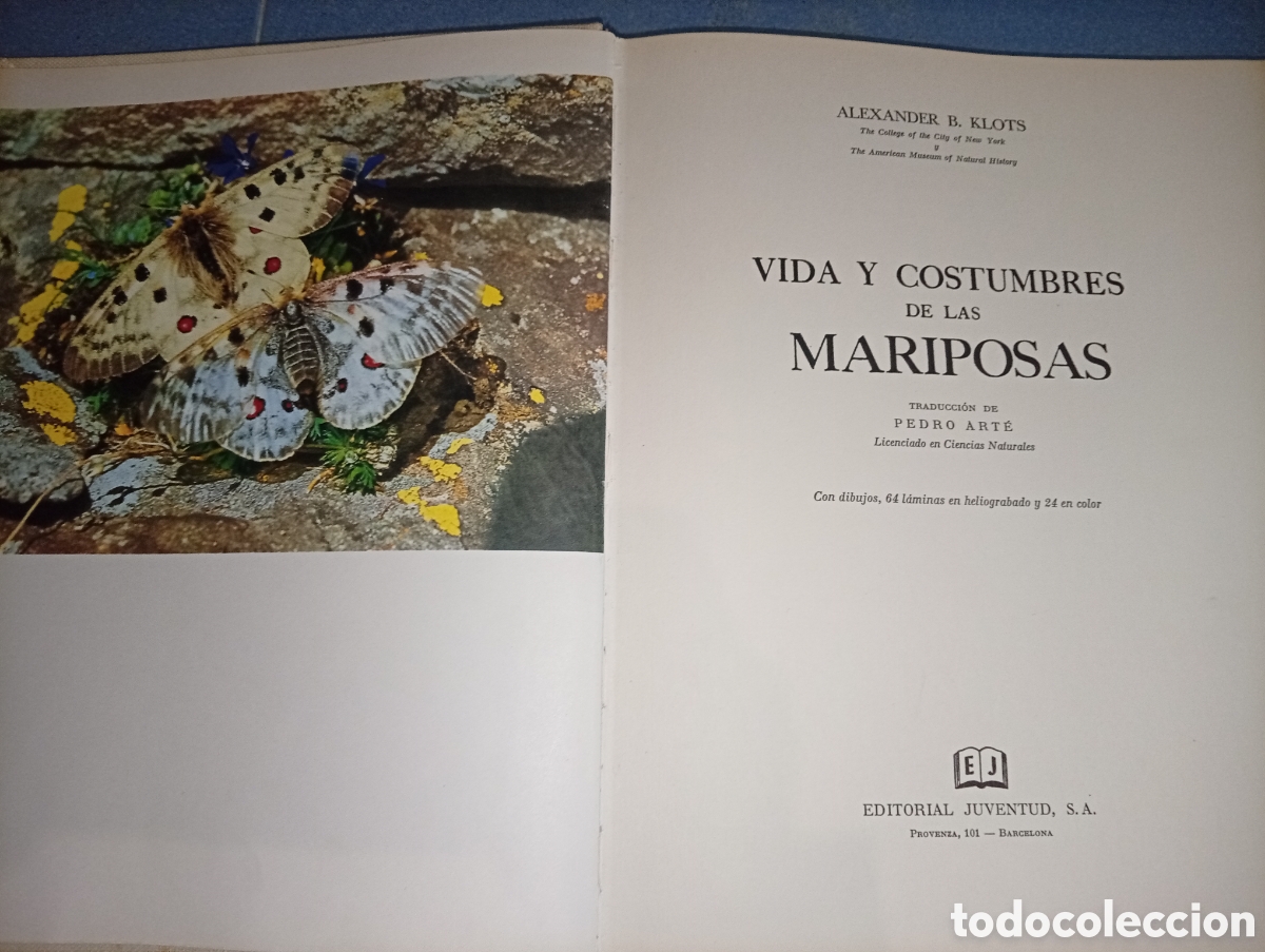 Libros de segunda mano: ANTIGUO LIBRO VIDA Y COSTUMBRES DE LAS MARIPOSAS 1966 JUVENTUD - Foto 3