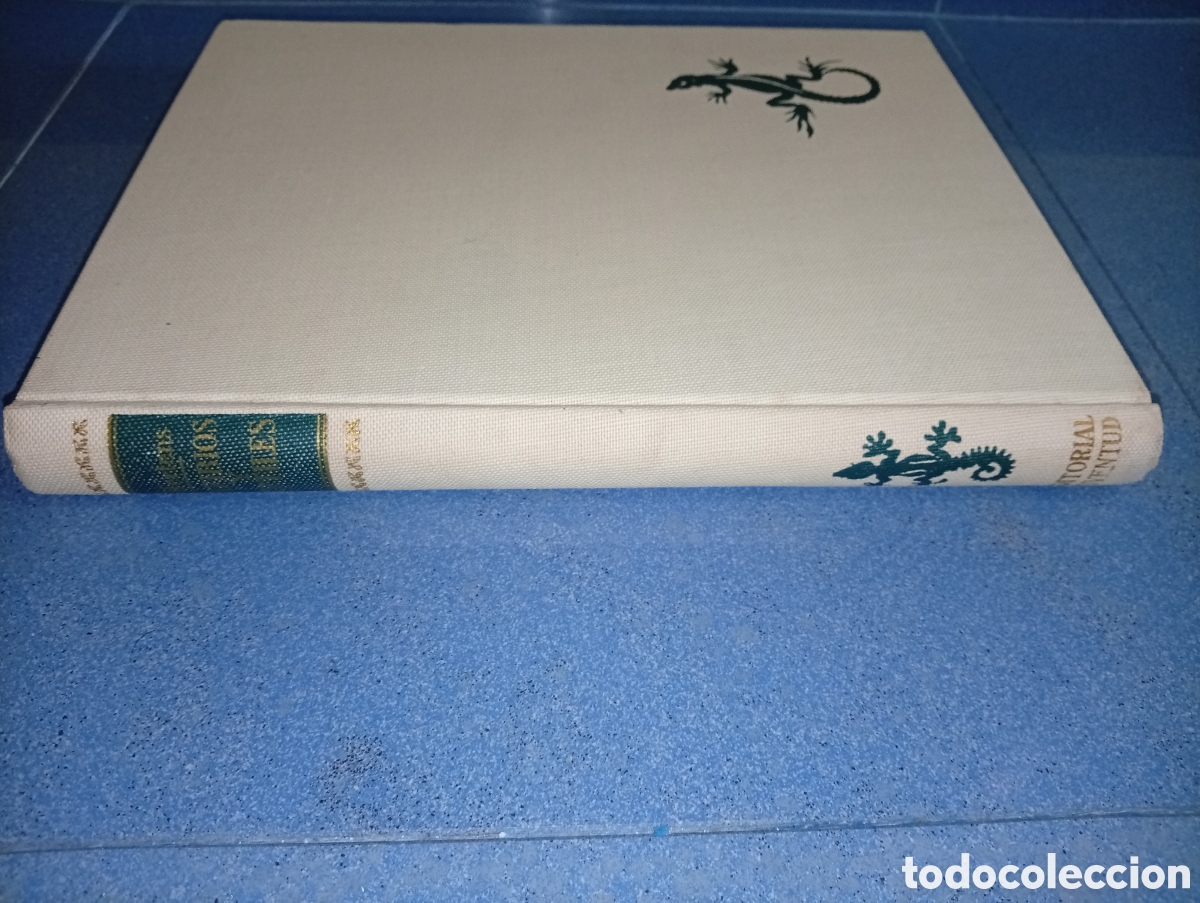 Libros de segunda mano: ANTIGUO LIBRO ANFIBIOS Y REPTILES 1962 JUVENTUF - Foto 2