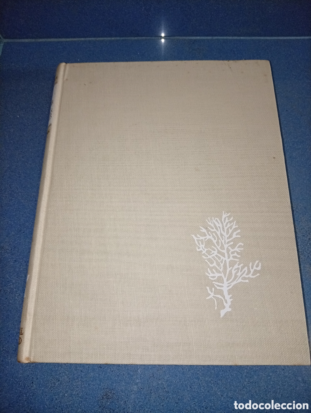 Libros de segunda mano: ANTIGUO LIBRO FLORA Y FAUNA DE LAS RIBERAS MARINAS 1964 JUVENTUD