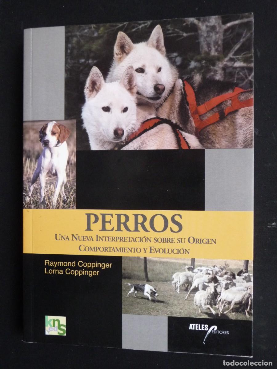 Livros em segunda m&atilde;o: PERROS . UNA NUEVA INTERPRETACION SOBRE SU ORIGEN COMPORTAMIENTO Y EVOLUCION