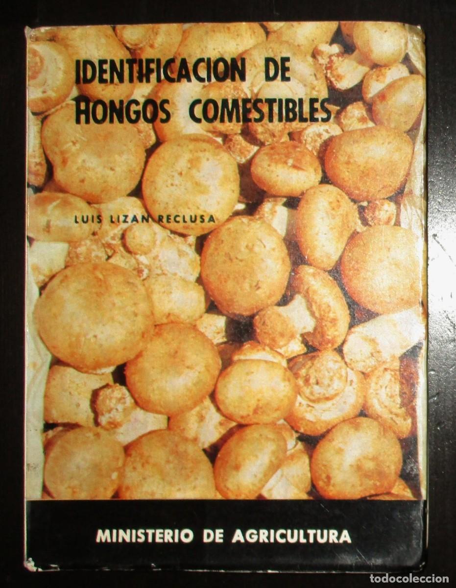 Libros de segunda mano: IDENTIFICACI&Oacute;N DE HONGOS COMESTIBLES. LUIS LIZ&Aacute;N. MINISTERIO DE AGRICULTURA, 1967. PRIMERA EDICI&Oacute;N.
