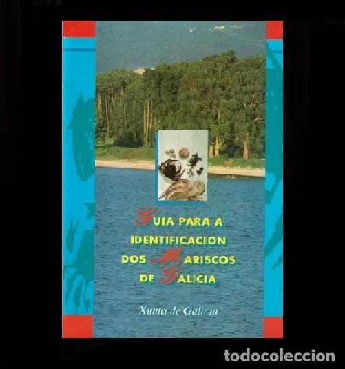 Libri di seconda mano: GUIA PARA LA IDENTIFICACION DOS MARISCOS DE GALICIA. F. ANTONIO FERNANDEZ DAMONTE.