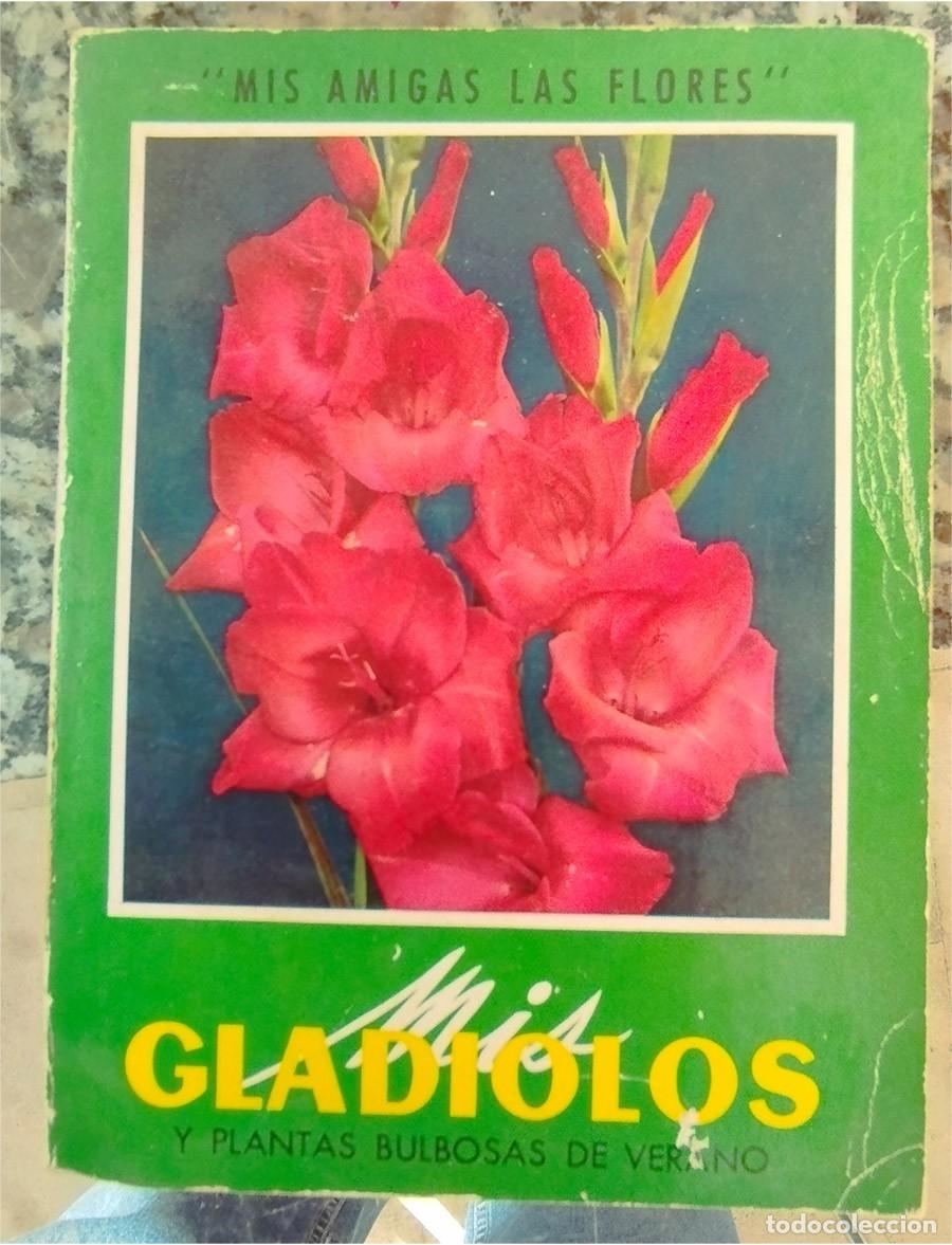 Libros de segunda mano: MIS GLADIOLOS Y PLANTAS BULBOSAS DE VERANO ED. GUSTAVO GILI 1973 RUSTICA 31 PAGINAS