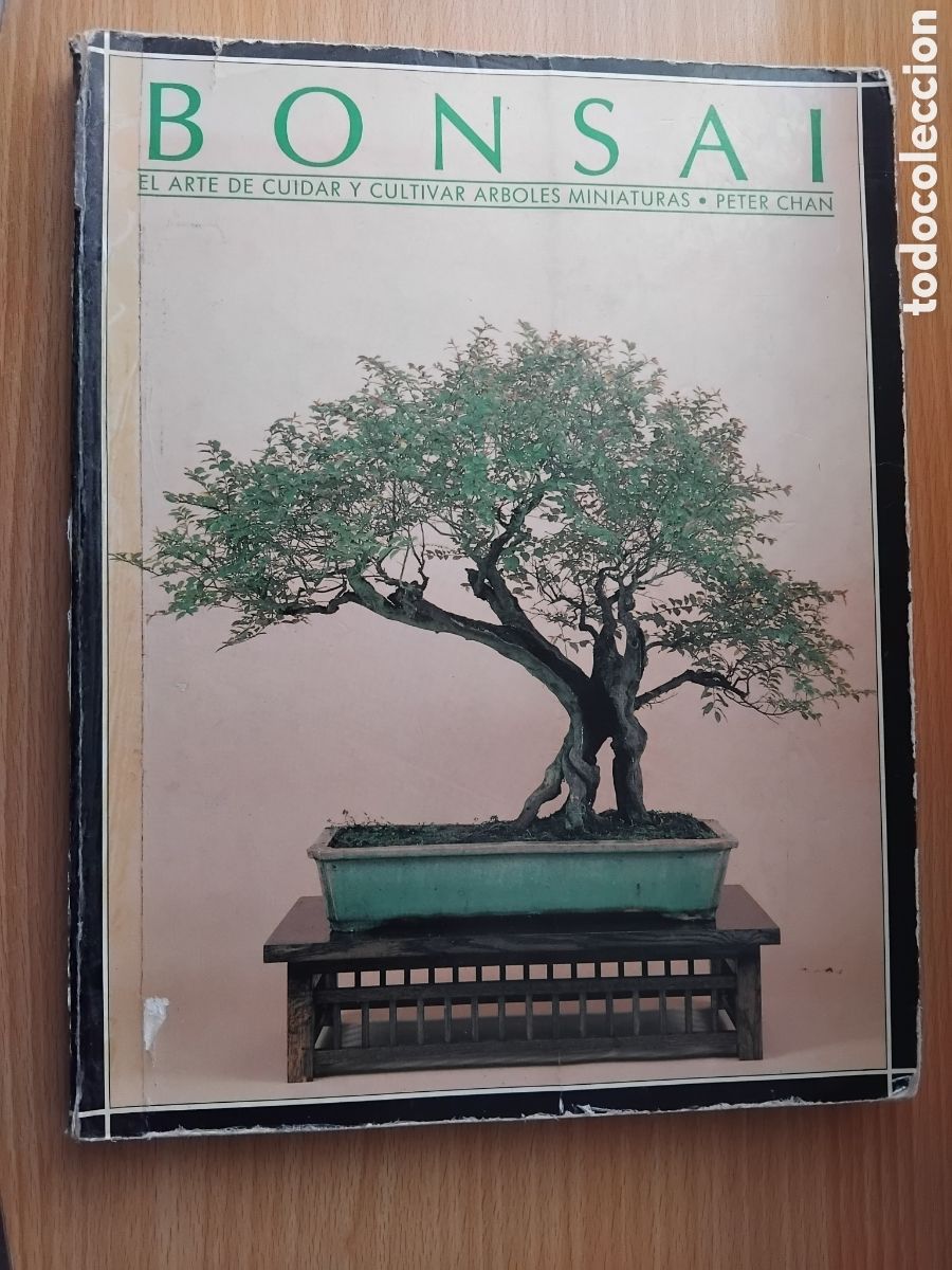 Libros de segunda mano: Bonsai.El arte de cuidar y cultivar &aacute;rboles miniaturas;Peter Chan;Acanto;1988