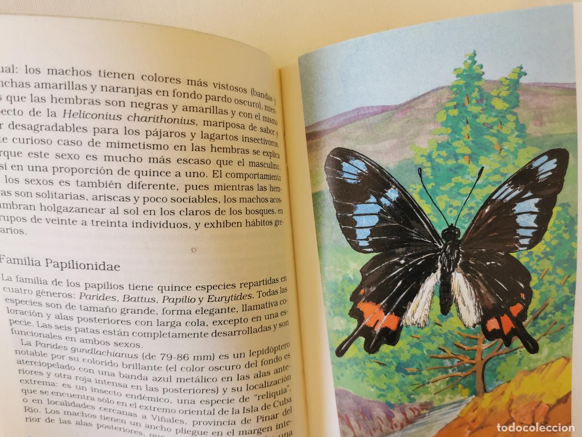Libros de segunda mano: Las mariposas de Cuba. Pastor Alayo Dalmau. - Foto 3