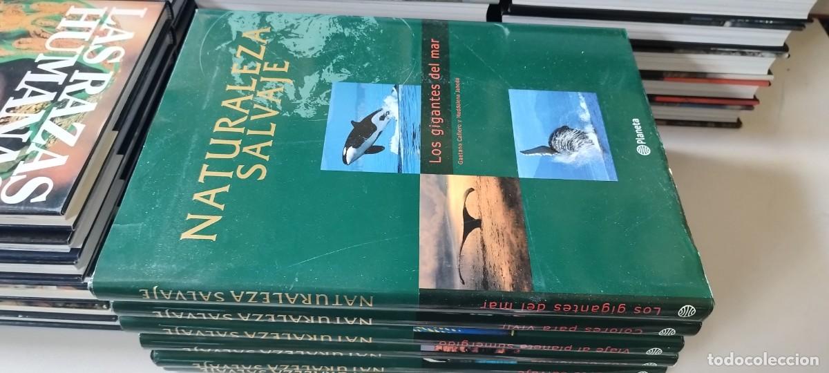 Libros de segunda mano: NATURALEZA SALVAJE - PLANETA - 6 TOMOS - CONS 628-35 - VER FOTOS