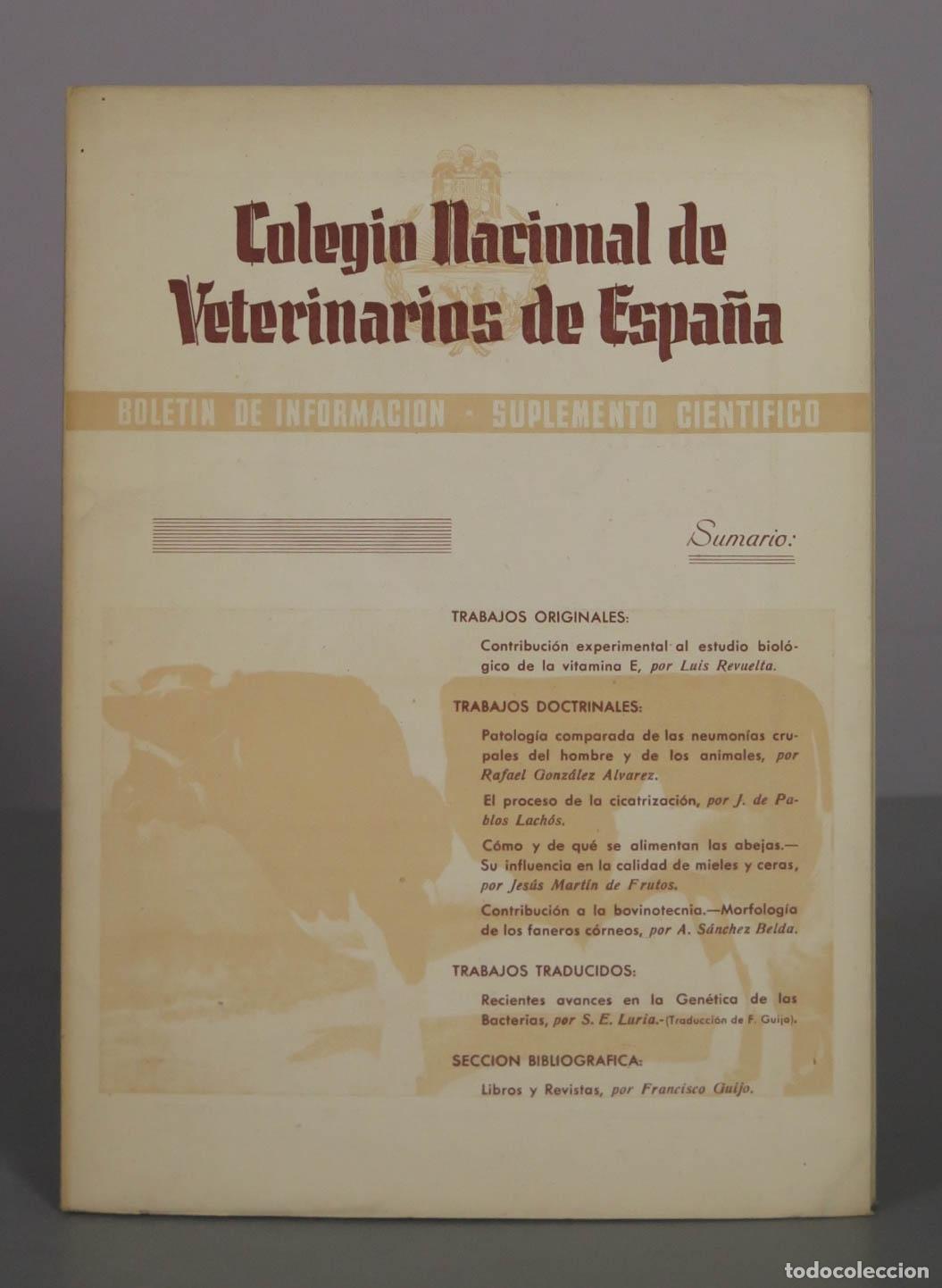 Libros de segunda mano: Bolet&iacute;n de Informaci&oacute;n - Suplemento Cient&iacute;fico - Colegio Nacional de Veterinarios de Espa&ntilde;a