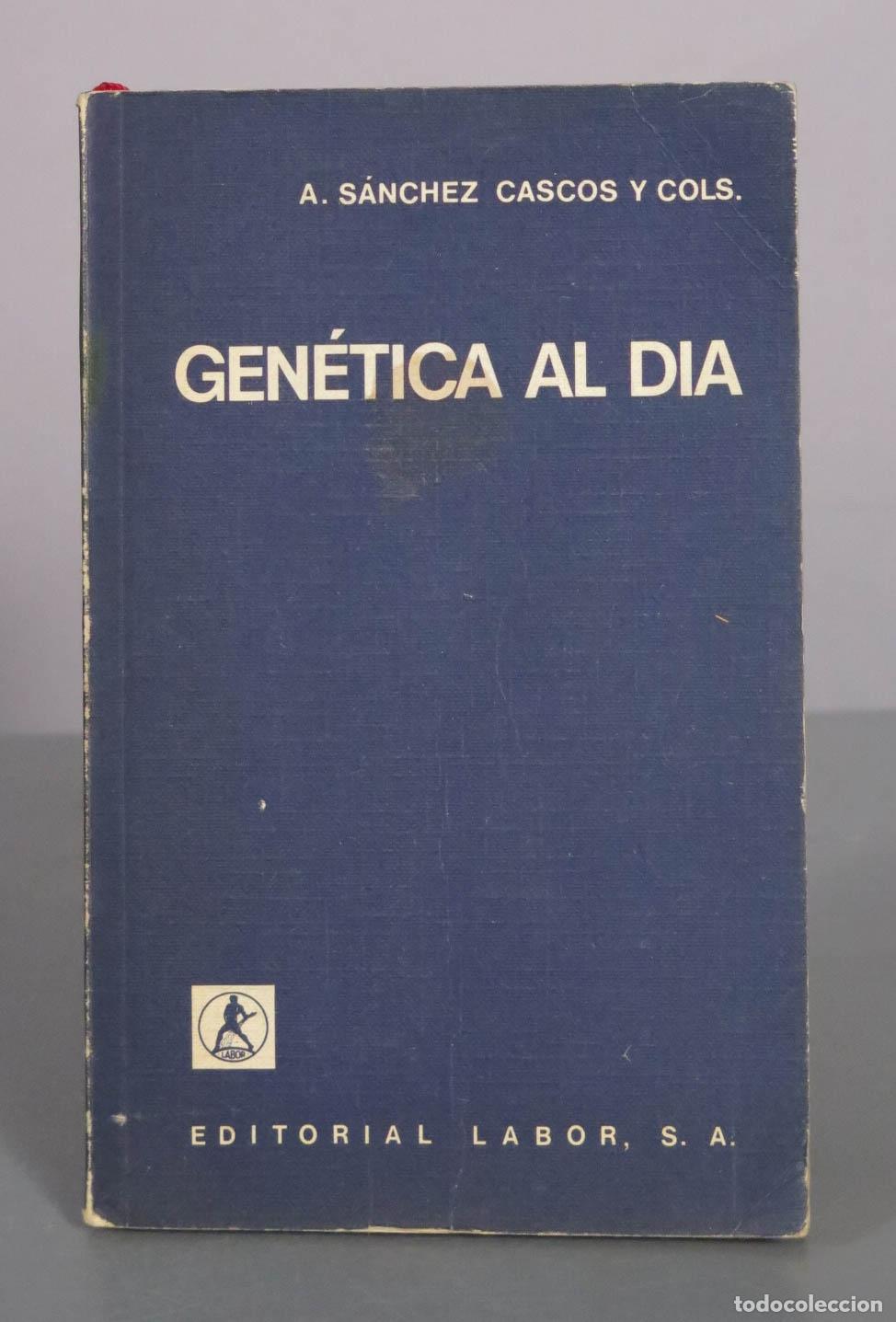 Libros de segunda mano: Gen&eacute;tica al d&iacute;a - A. S&aacute;nchez Cascos y cols. - Editorial Labor