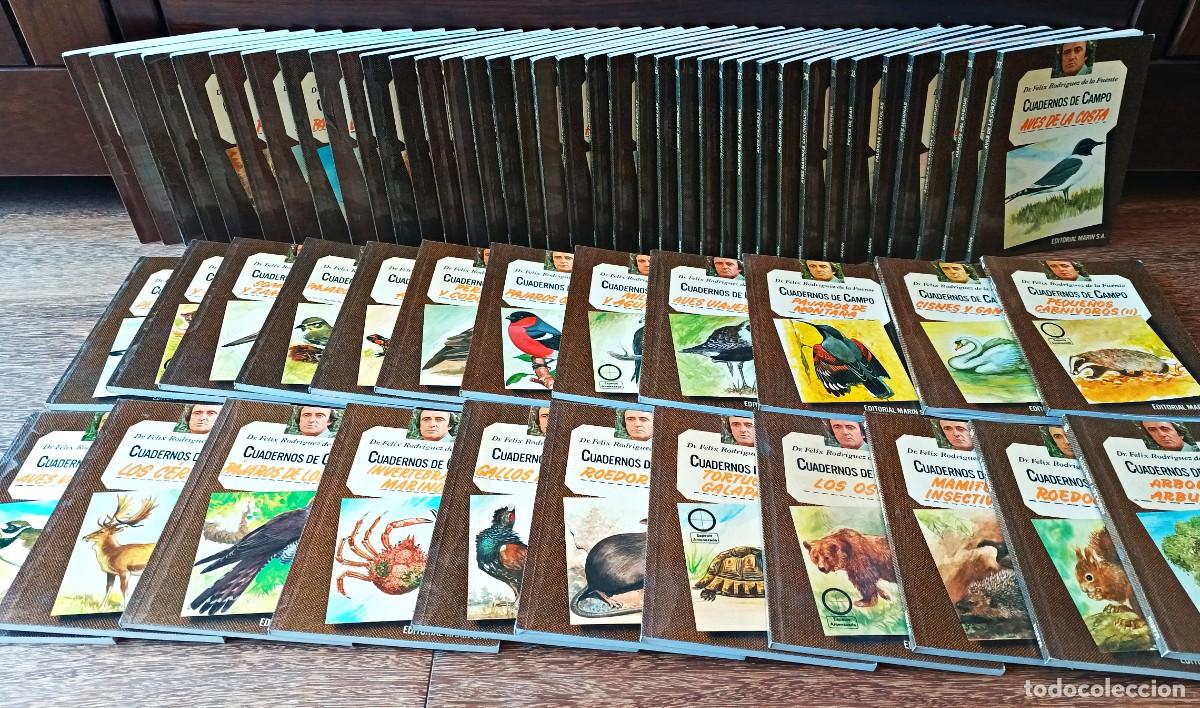 Libros de segunda mano: COLECCI&Oacute;N COMPLETA DE LOS CUADERNOS DE CAMPO DE FELIX RODRIGUEZ DE LA FUENTE 1978