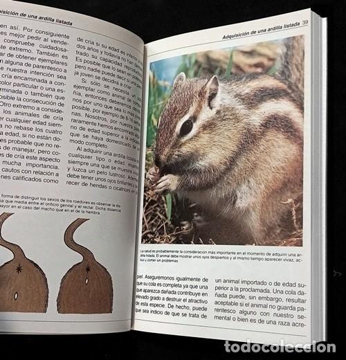 Libros de segunda mano: LAS ARDILLAS. ELECCION. CUIDADO. ALIMENTACION. - Foto 2