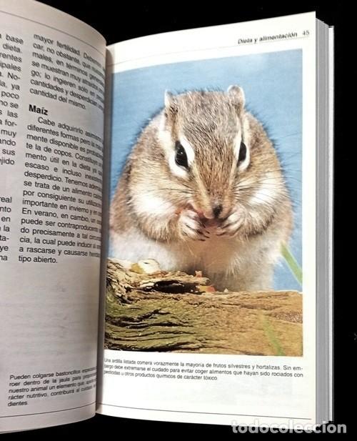 Libros de segunda mano: LAS ARDILLAS. ELECCION. CUIDADO. ALIMENTACION. - Foto 3
