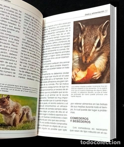 Libros de segunda mano: LAS ARDILLAS. ELECCION. CUIDADO. ALIMENTACION. - Foto 4
