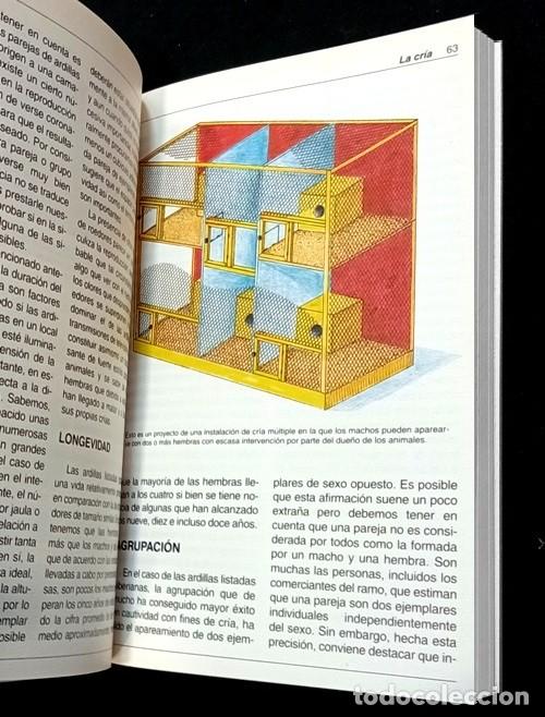 Libros de segunda mano: LAS ARDILLAS. ELECCION. CUIDADO. ALIMENTACION. - Foto 5