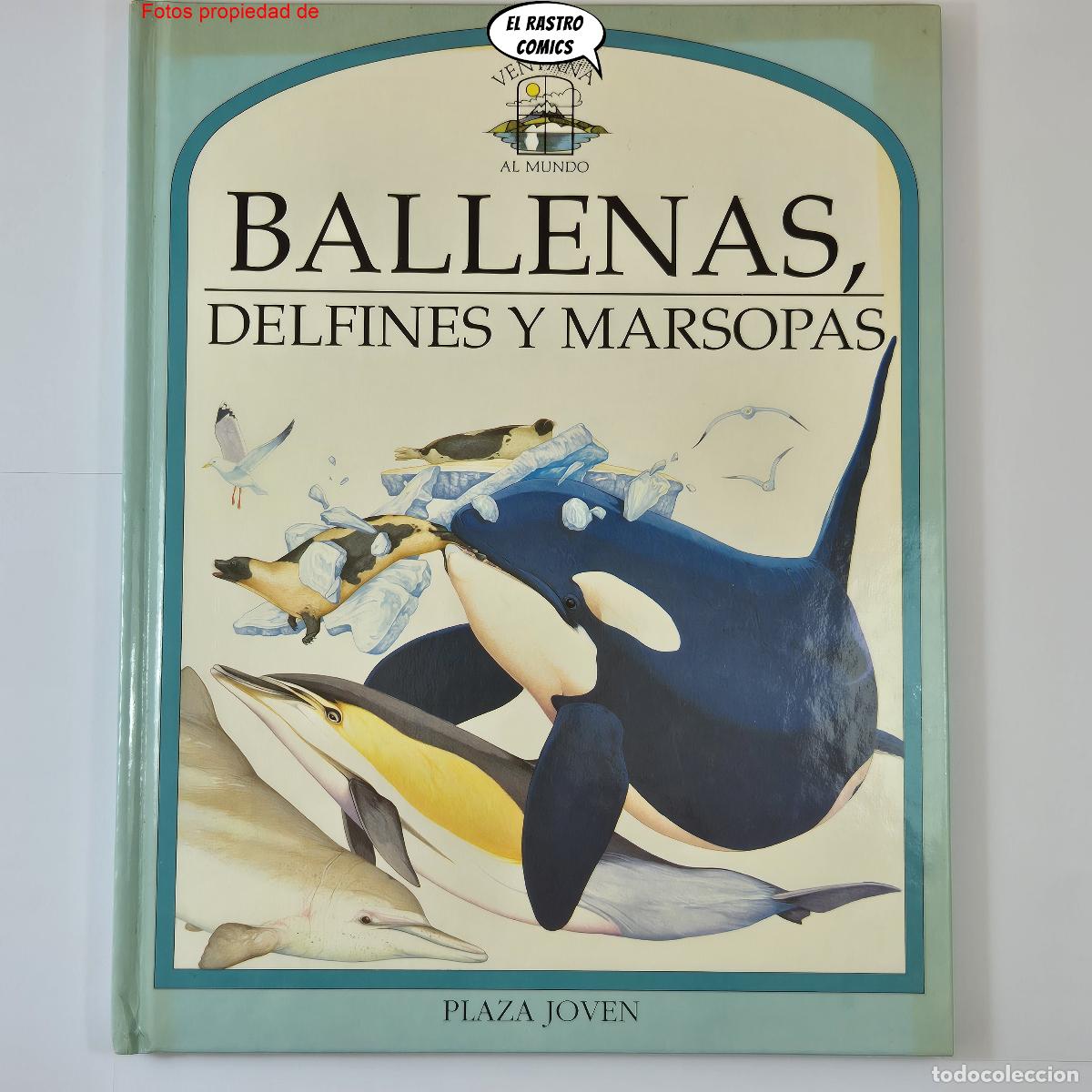 Libros de segunda mano: Ballenas, delfines y marsopas, Ventana al mundo, Plaza Joven a&ntilde;o 1983, A3