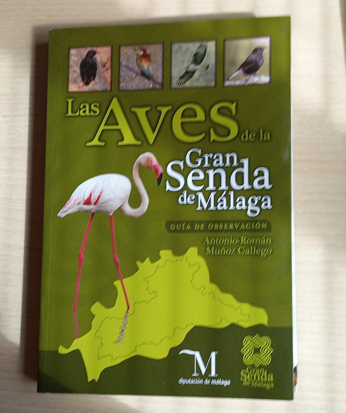 Libros de segunda mano: Las Aves de Gran Senda de M&aacute;laga GU&Iacute;A DE OBSERVACI&Oacute;N. Antonio Rom&aacute;n-Mu&ntilde;oz Gallego. 2014.