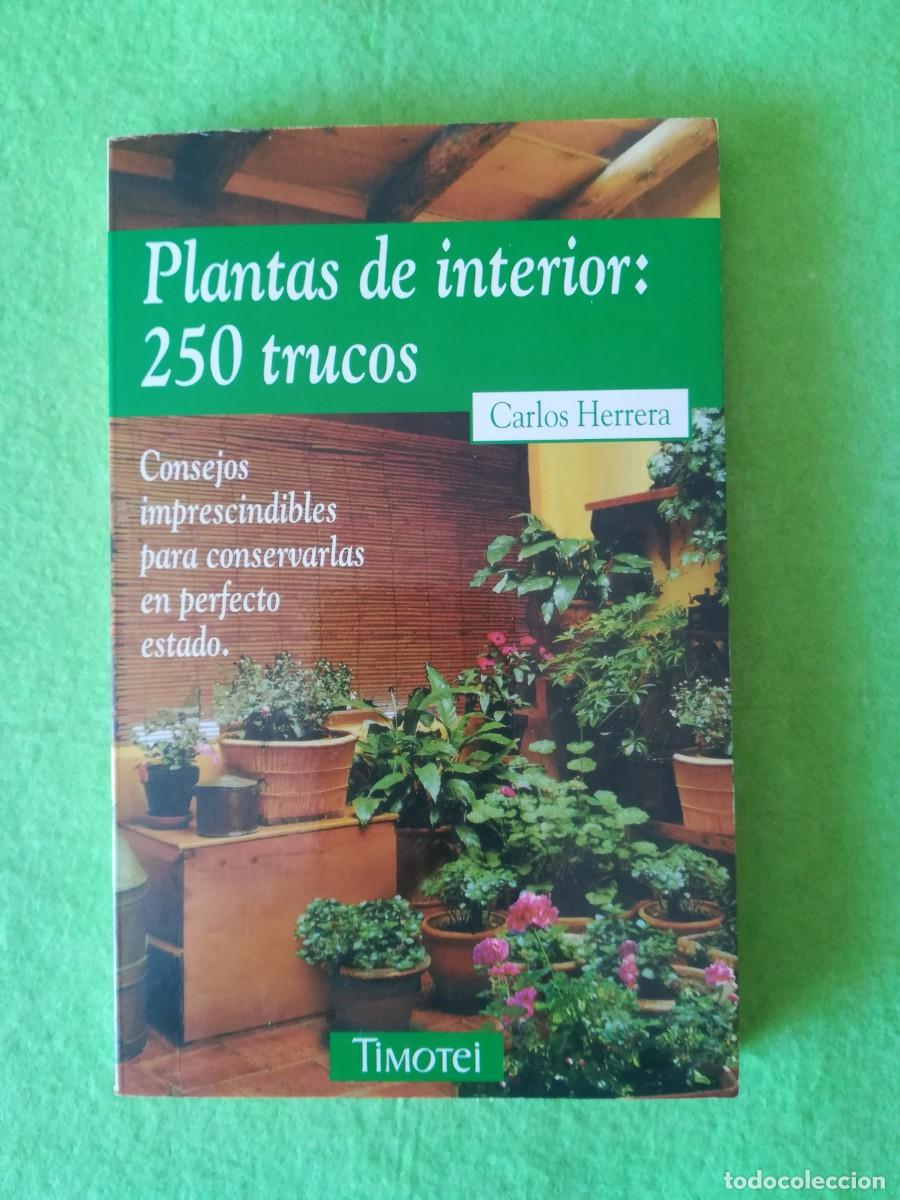Libros de segunda mano: Plantas de interior 250 trucos Carlos Herrera Timotei 1999
