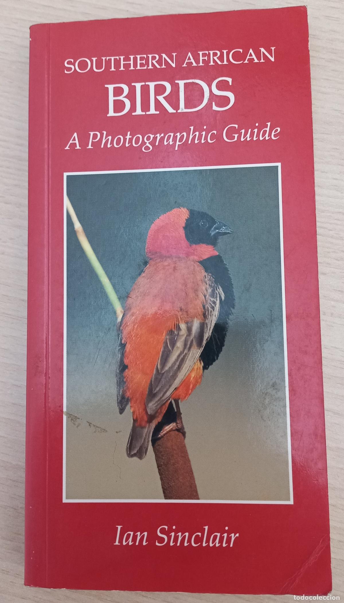 Libros de segunda mano: Southern African Birds: A Photographic Guide de Ian Sinclair. 1997.