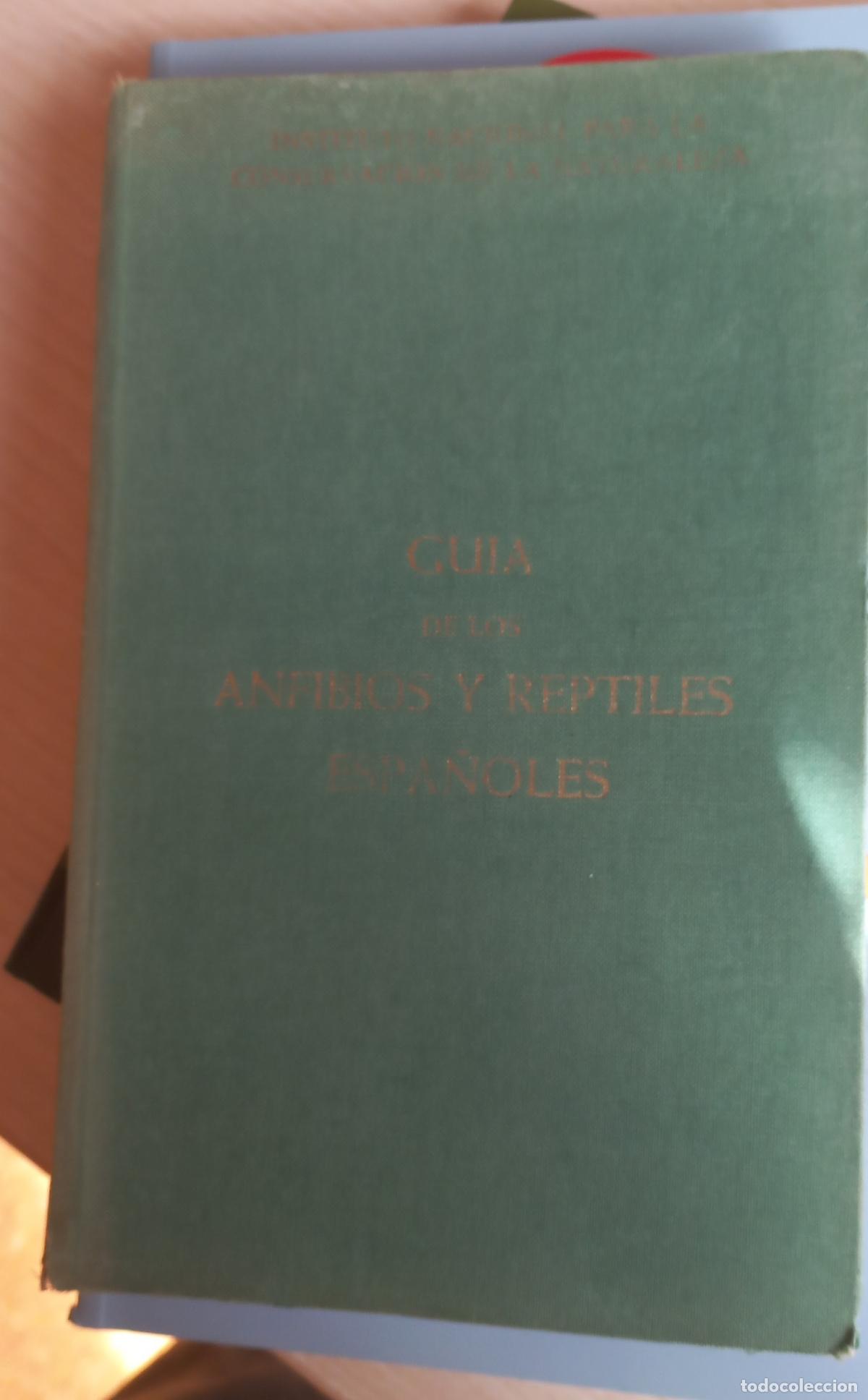 Libros de segunda mano: GU&Iacute;A DE LOS ANFIBIOS Y REPTILES ESPA&Ntilde;OLES, ALFREDO SALVADOR 1974. LUIS LEDO-RAFAEL REQUENA. ICONA