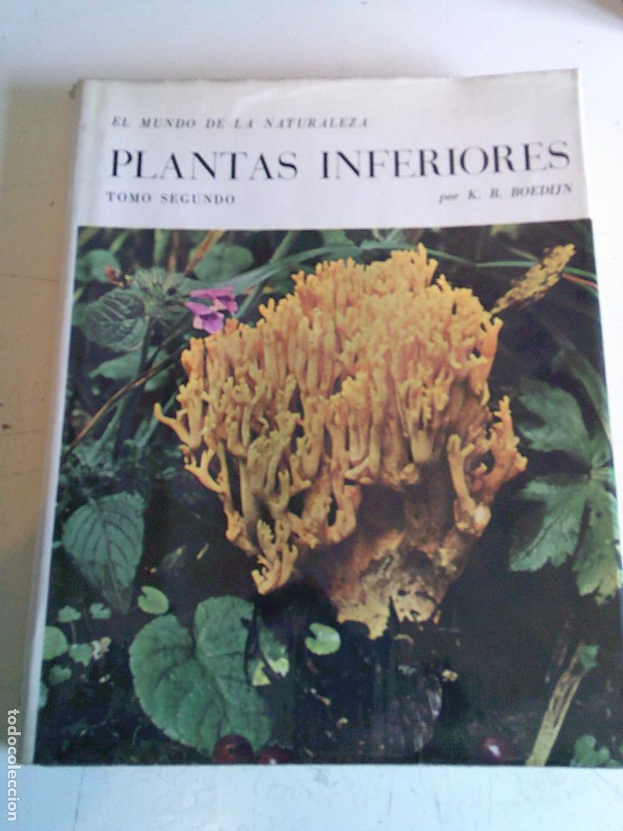 Libros de segunda mano: Plantas inferiores Tomo segundo K.B. Boedijn
