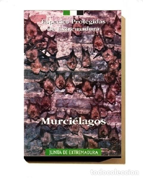 Libros de segunda mano: �F3348 - ESPECIES PORTEGIDAS DE EXTREMADURA. MURCIELAGOS. FAUNA.