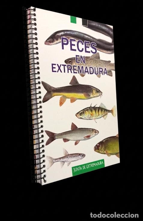 Libros de segunda mano: �F3346 - PECES EN EXTREMADURA. ESPECIES EXTINGUIDAS. AUTOCTONAS. INTRODUCIDAS ALOCTONAS. FAUNA.
