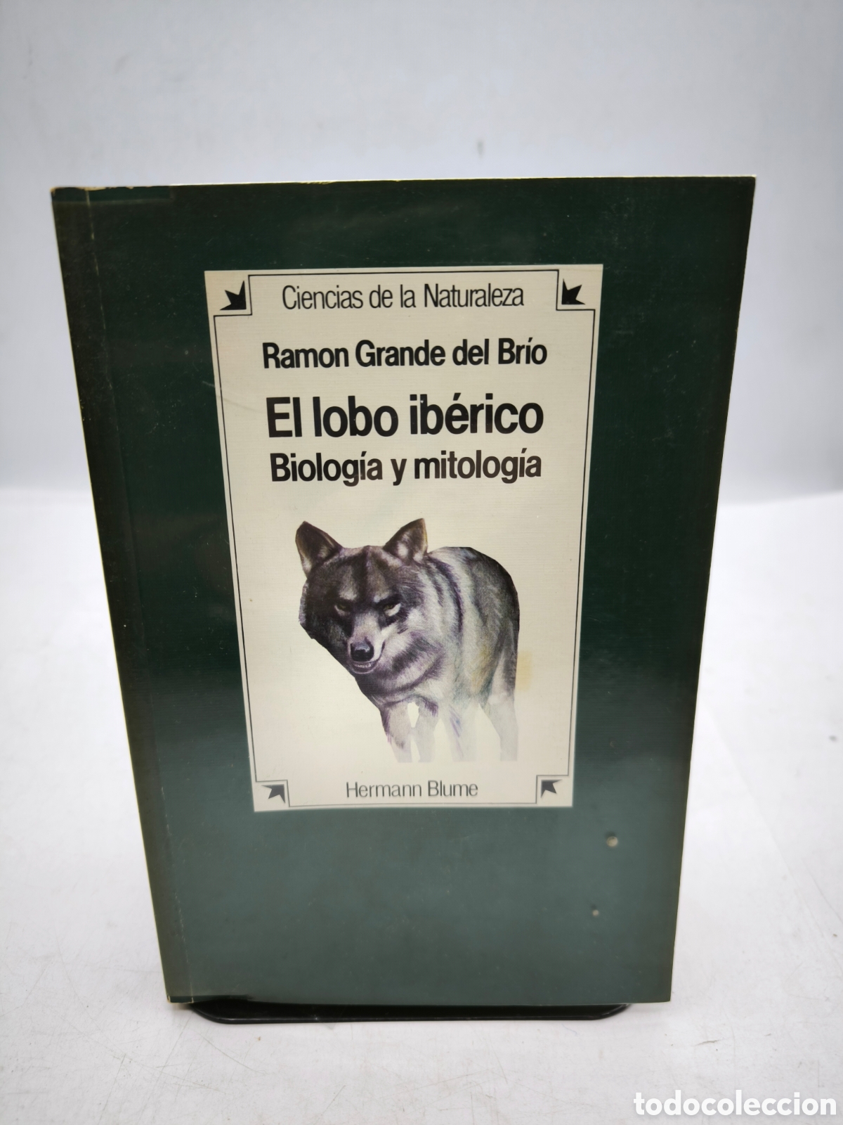 Libros de segunda mano: El lobo ib&eacute;rico biolog&iacute;a y mitolog&iacute;a.