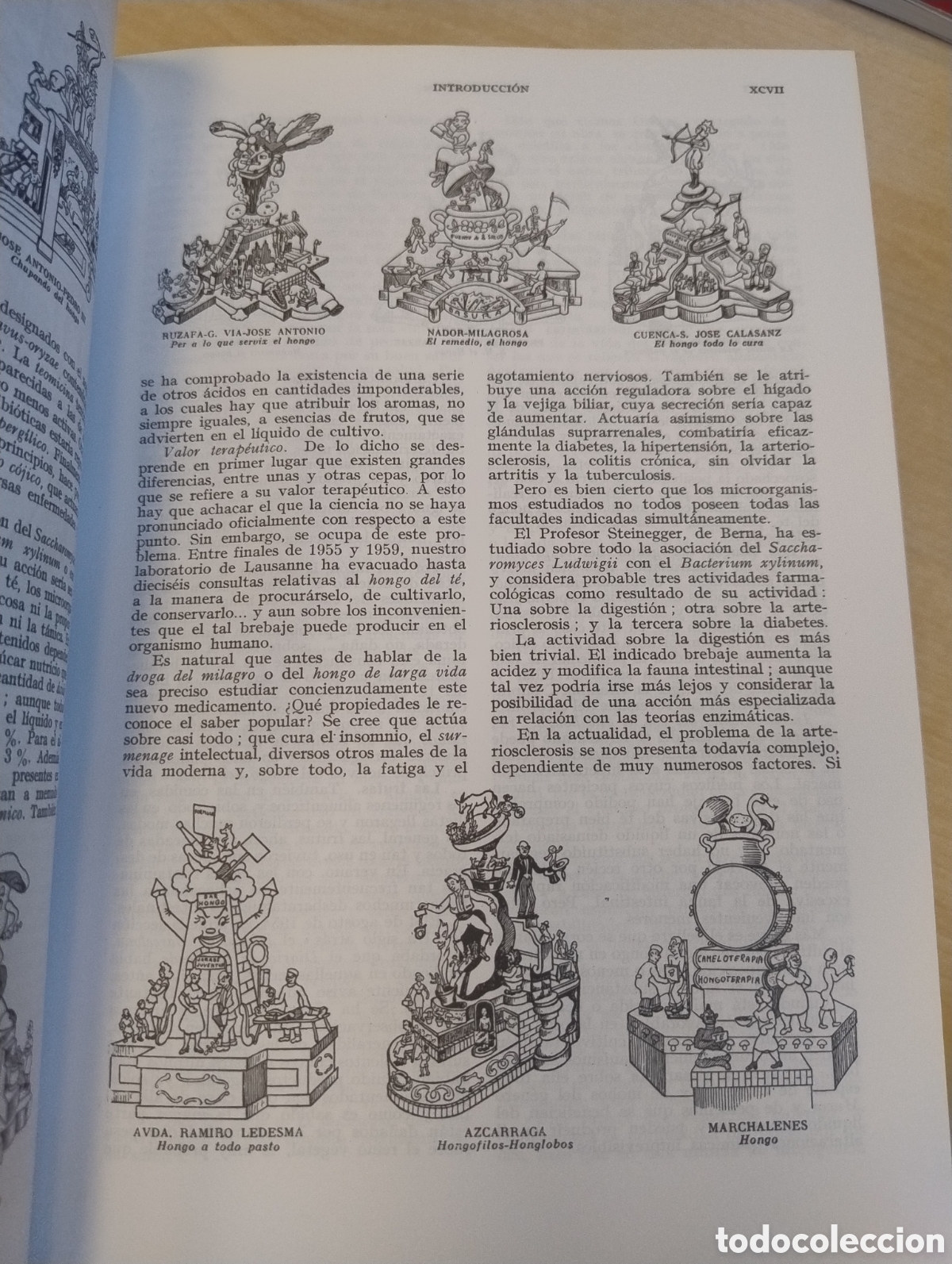 Libros de segunda mano: Plantas medicinales. El Diosc&oacute;rides renovado. - Foto 4