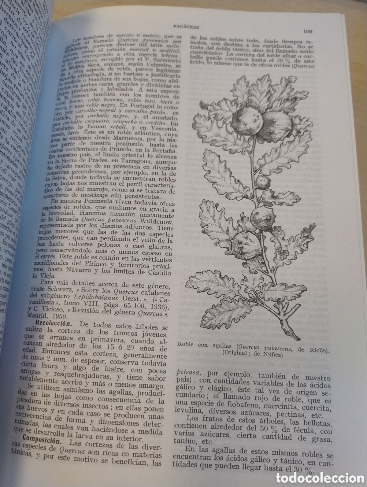 Libros de segunda mano: Plantas medicinales. El Diosc&oacute;rides renovado. - Foto 5