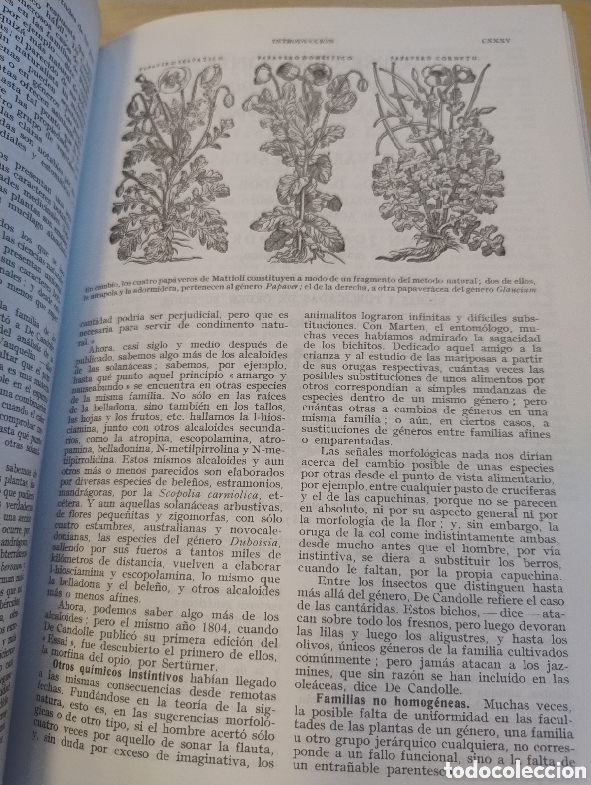 Libros de segunda mano: Plantas medicinales. El Diosc&oacute;rides renovado. - Foto 6