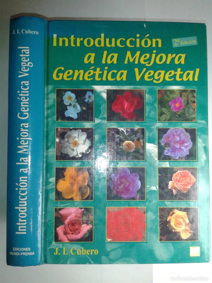 Libros de segunda mano: INTRODUCCI&Oacute;N A LA MEJORA GEN&Eacute;TICA VEGETAL 2003 JOSE IGNACIO CUBERO 2&ordf; EDICI&Oacute;N MUNDI-PRENSA